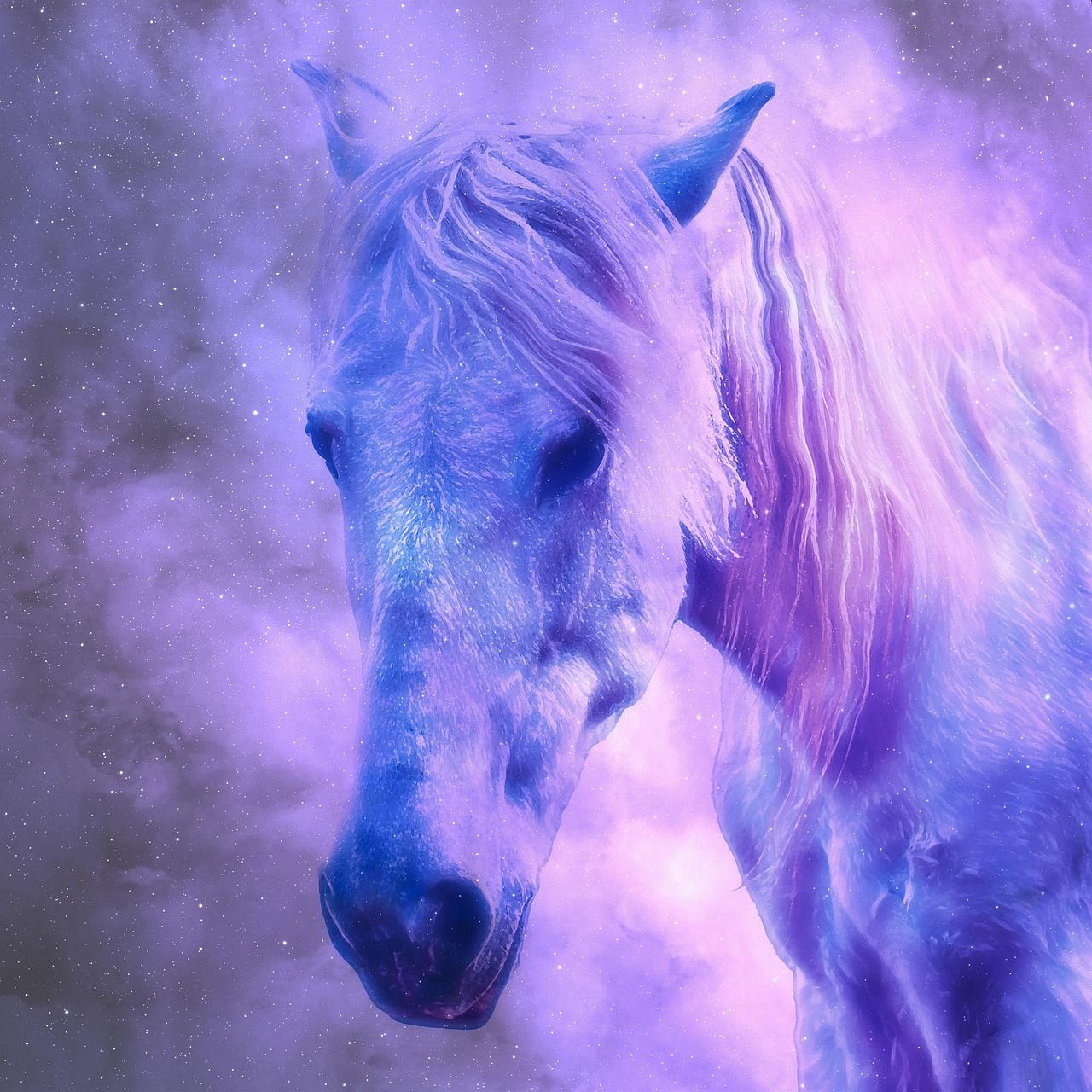 1280x1280 Download Horse Nature Mane. Royalty Free Stock Illustration Image
