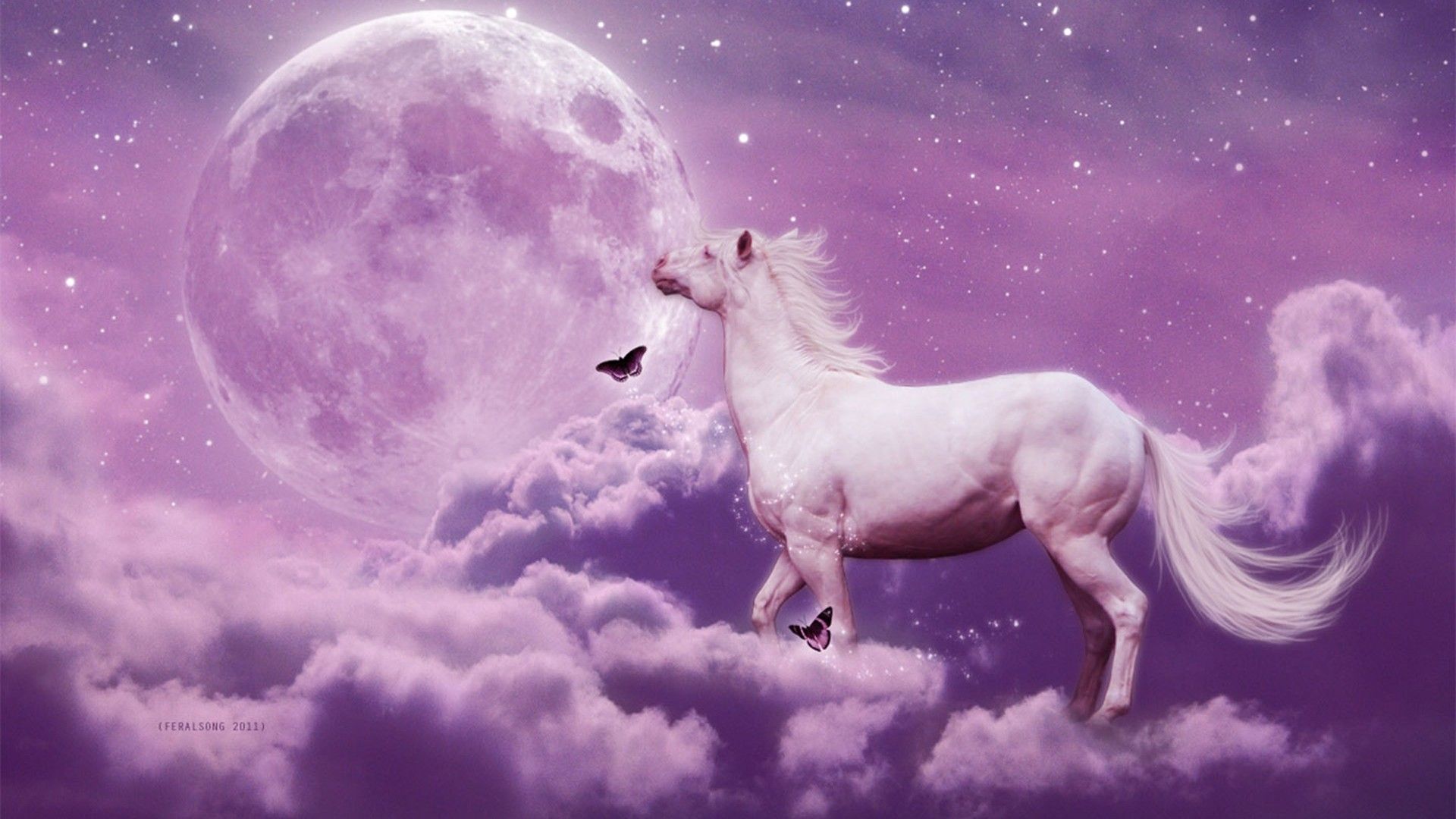 1920x1080 Artistic Picture Of Horse With Moon And Stars HD Horse Wallpaper