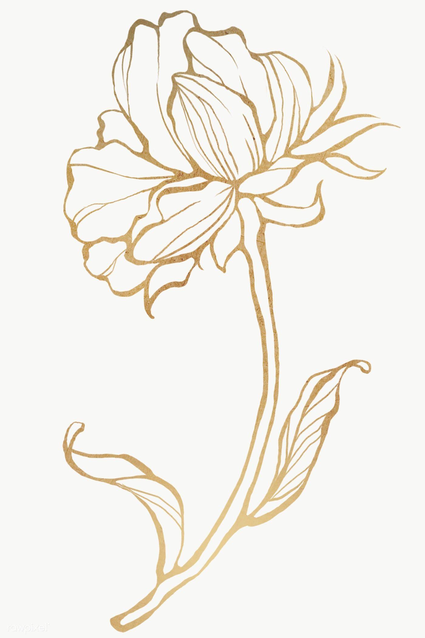 1400x2101 Download premium png of Gold flower outline transparent png