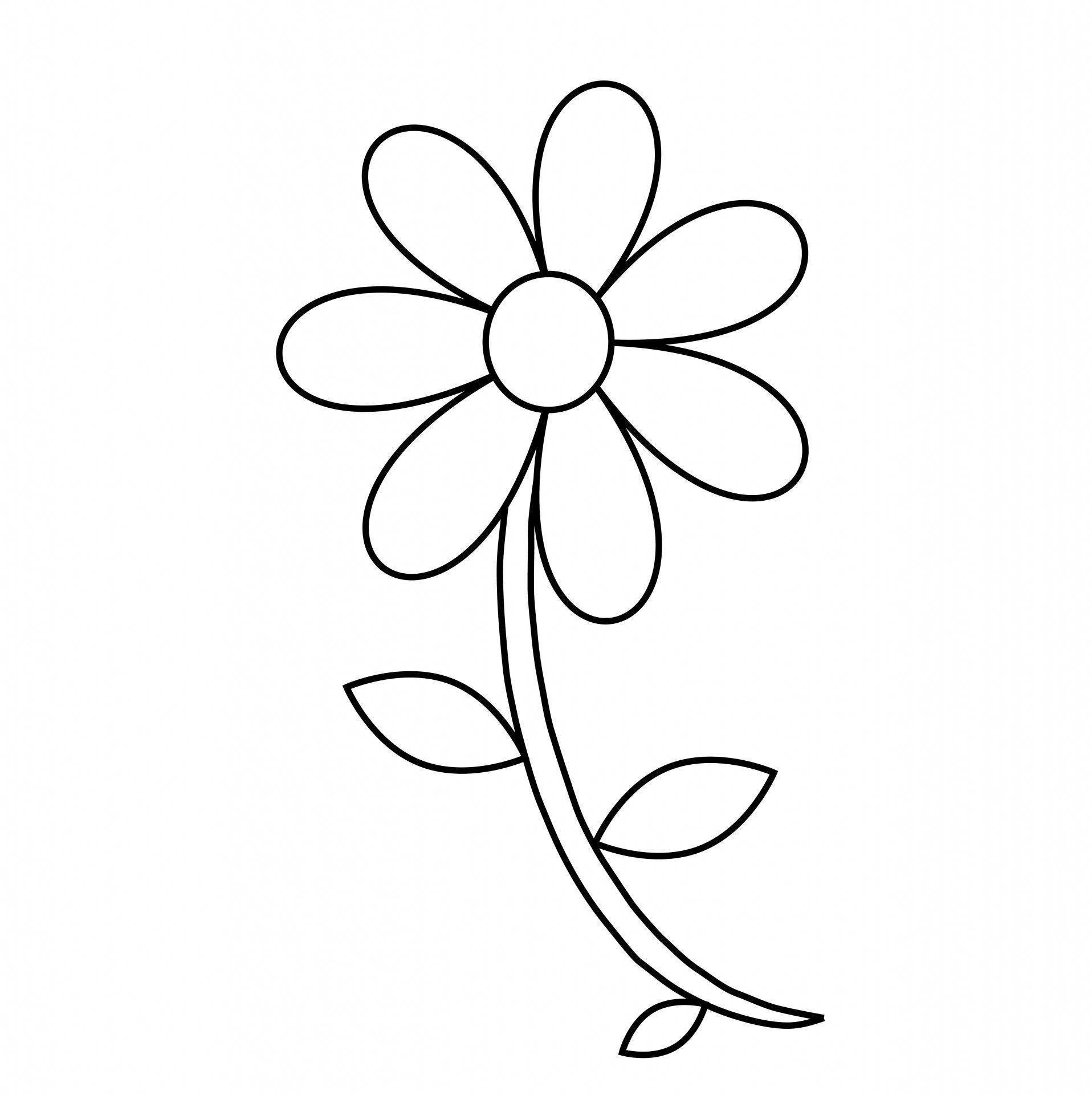 1916x1920 Free Simple Flower Outline, Download Free Clip Art, Free Clip Art