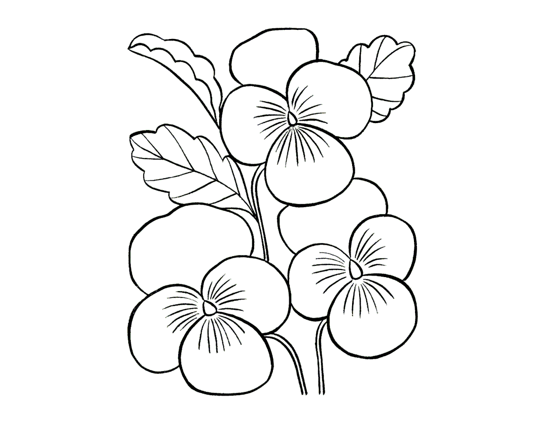1090x845 Flower Wallpaper Drawing