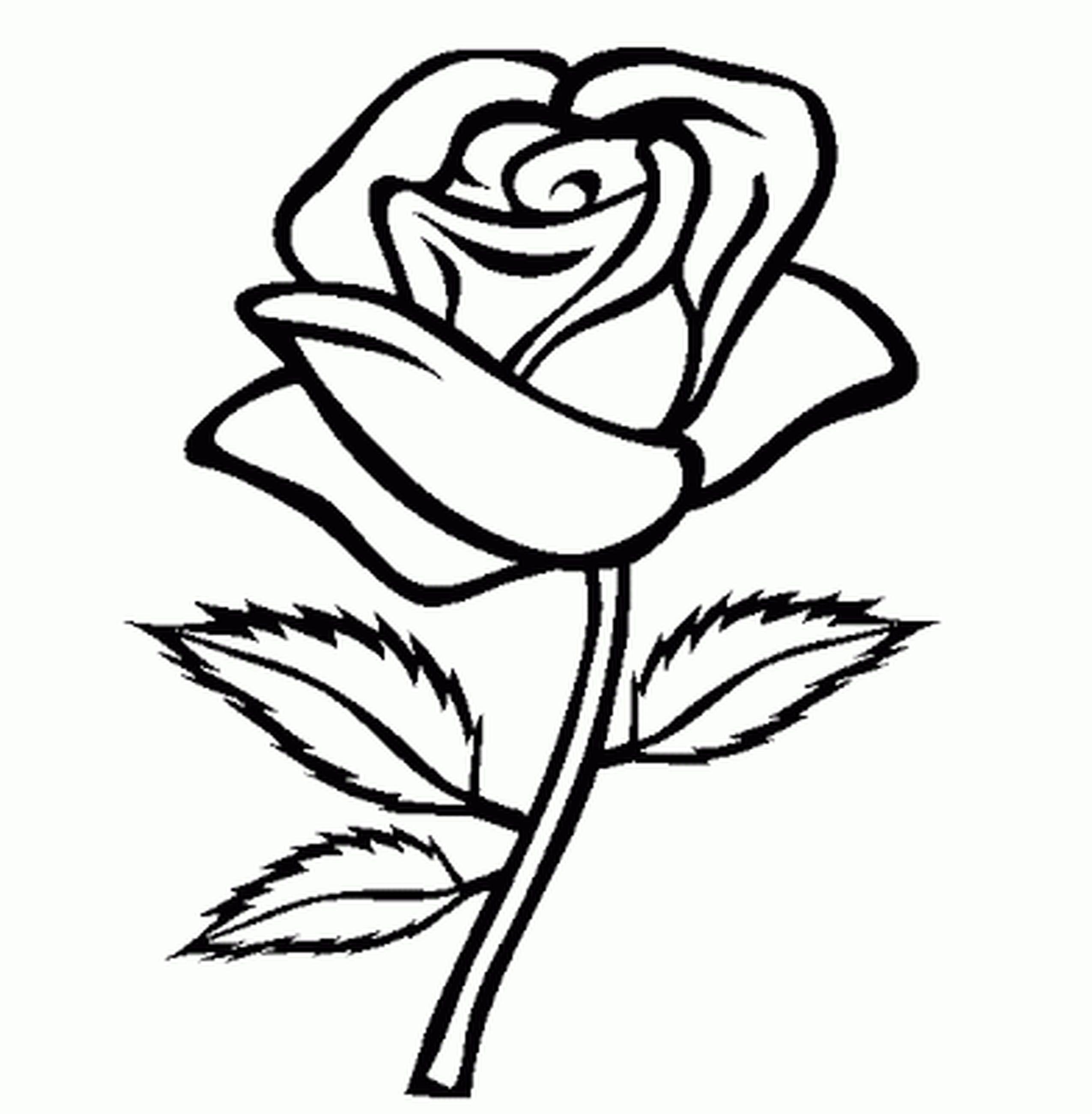2550x2602 Easy Flower Outline Outline Drawing For Kids