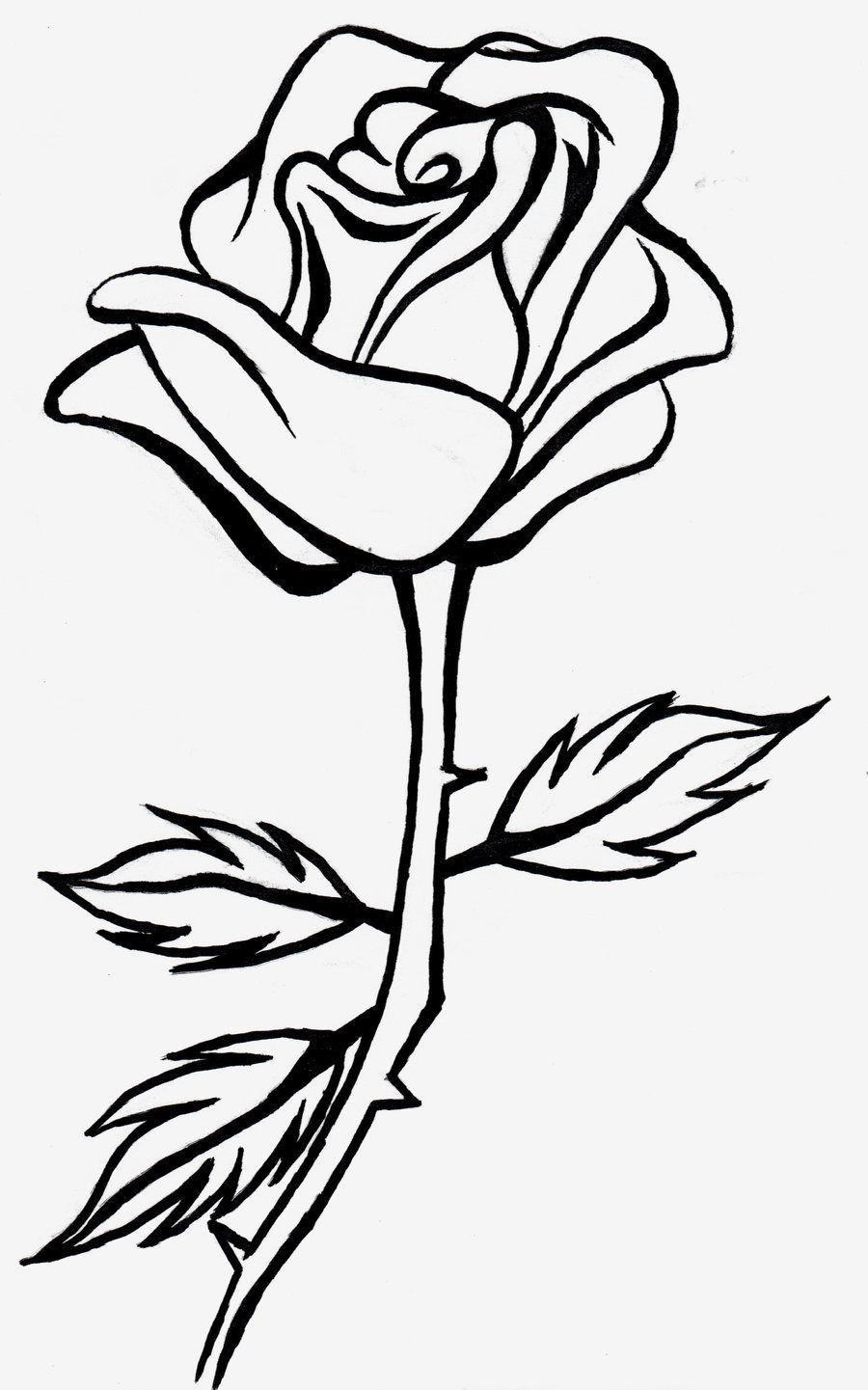 900x1441 Best Rose Outline