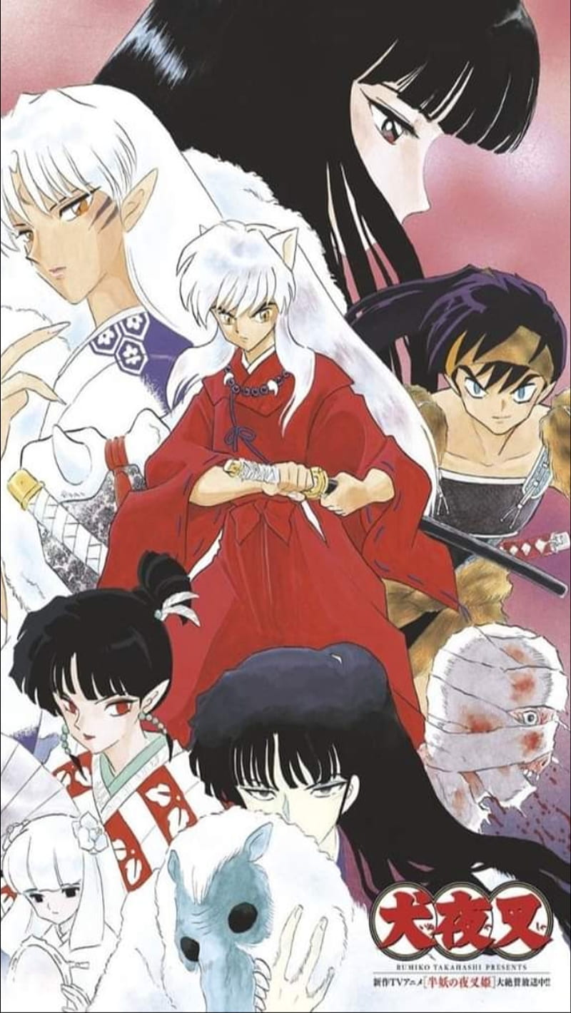 800x1420 Inuyasha, jagome, kirara, miroku, naraku, sesshomaru, HD phone wallpaper