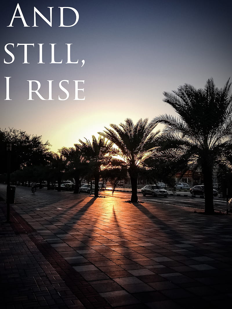 800x1067 HD and still i rise wallpaper
