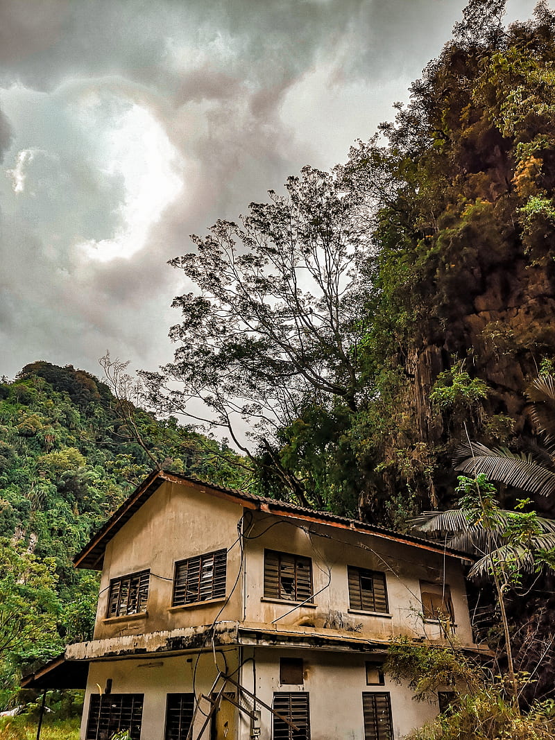 800x1067 HD ipoh wallpaper