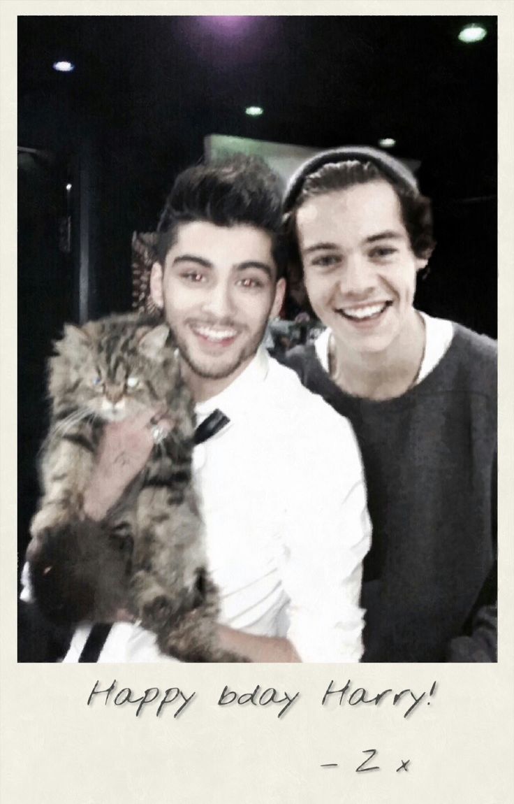 736x1150 Zarry wallpaper. Zayn and harry aesthetic, Harry and zayn wallpaper, Rip liam