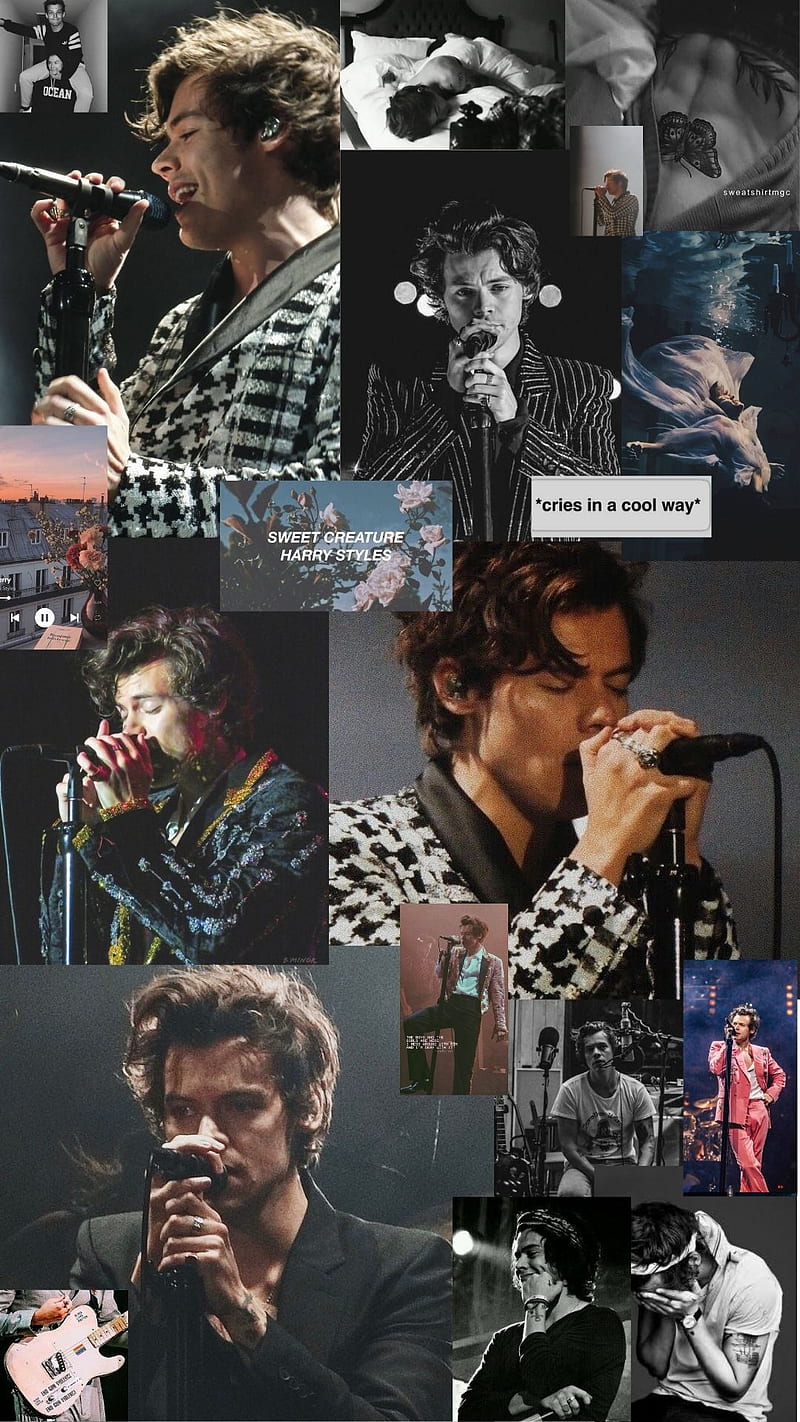 800x1422 Harry styles bw, harry styles, harrystyles, onedirection, HD phone wallpaper
