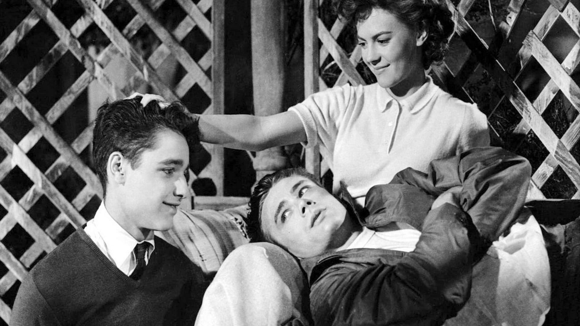 1920x1080 Rebel Without a Cause, covers, wallpaper
