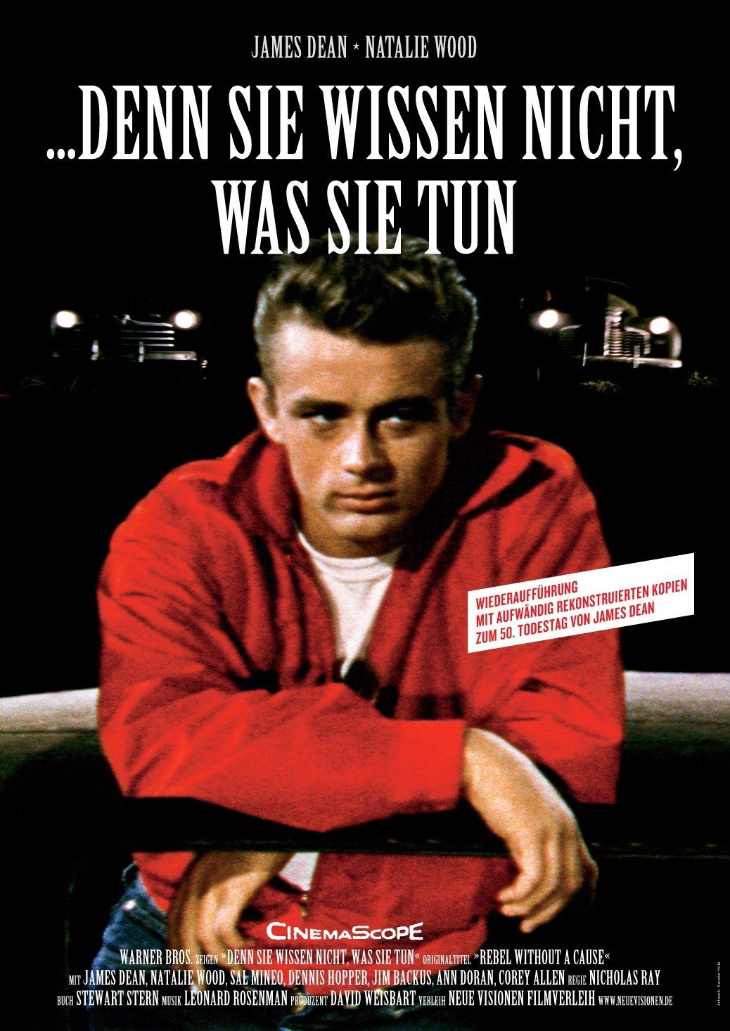 1038x1467 Rebel Without a Cause