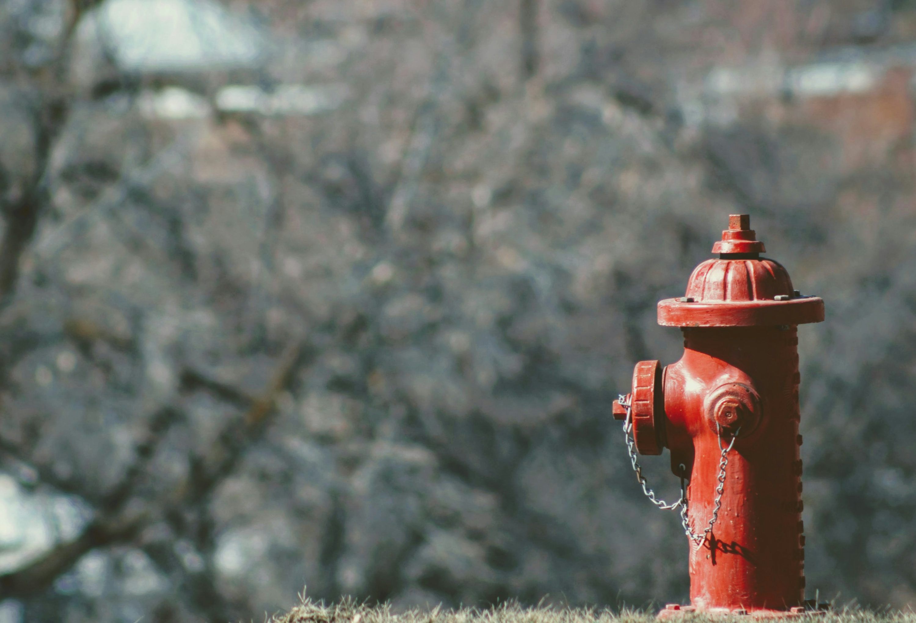 3000x2042 Fire Hydrant Picture. Download Free Image