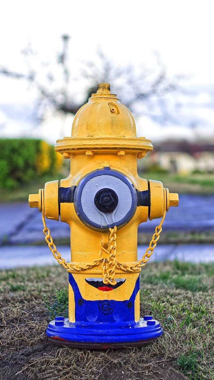 736x1308 Fire Hydrant Wallpaper