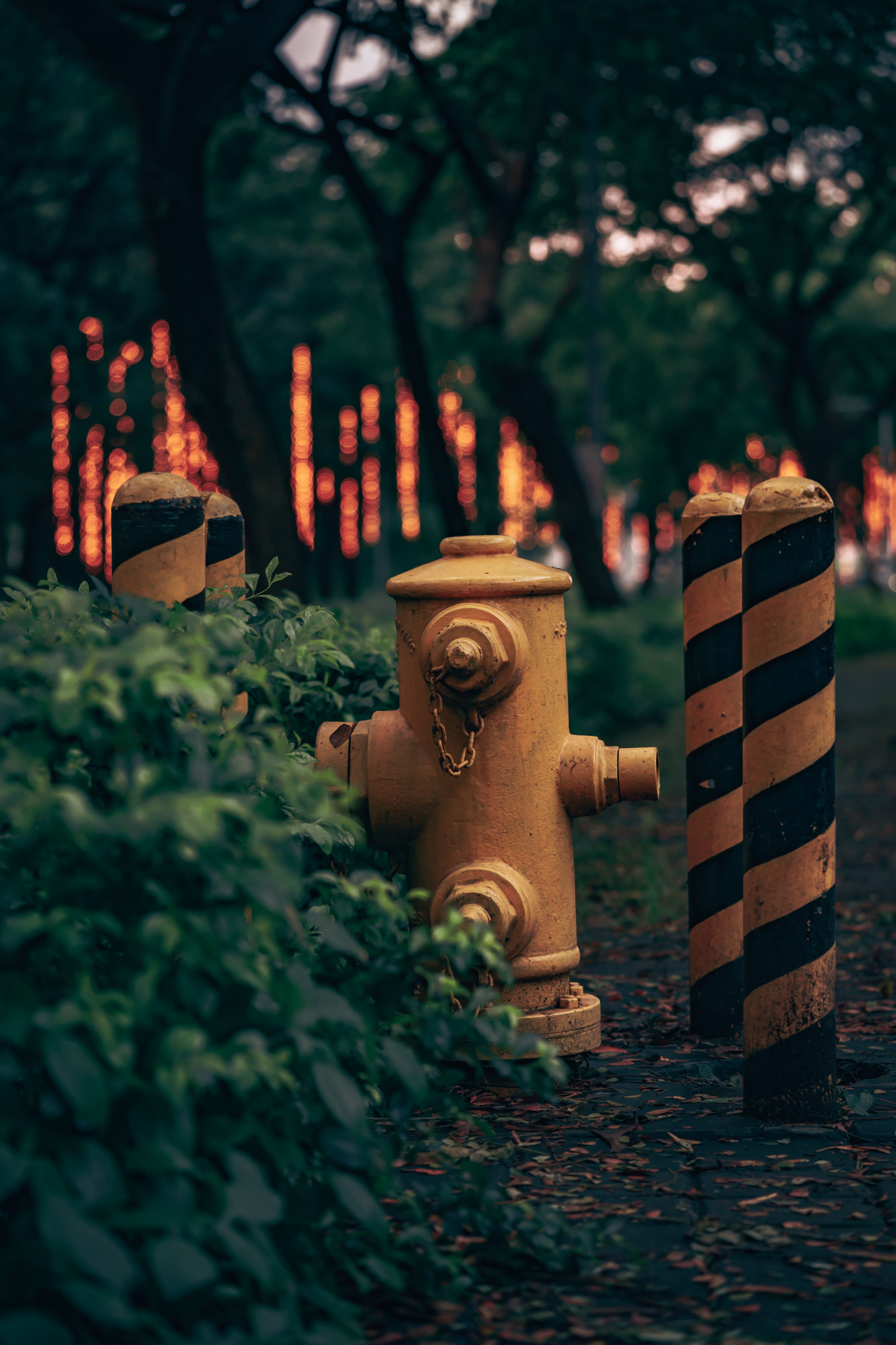 4000x6000 Fireplug Photo, Download The BEST Free Fireplug & HD Image