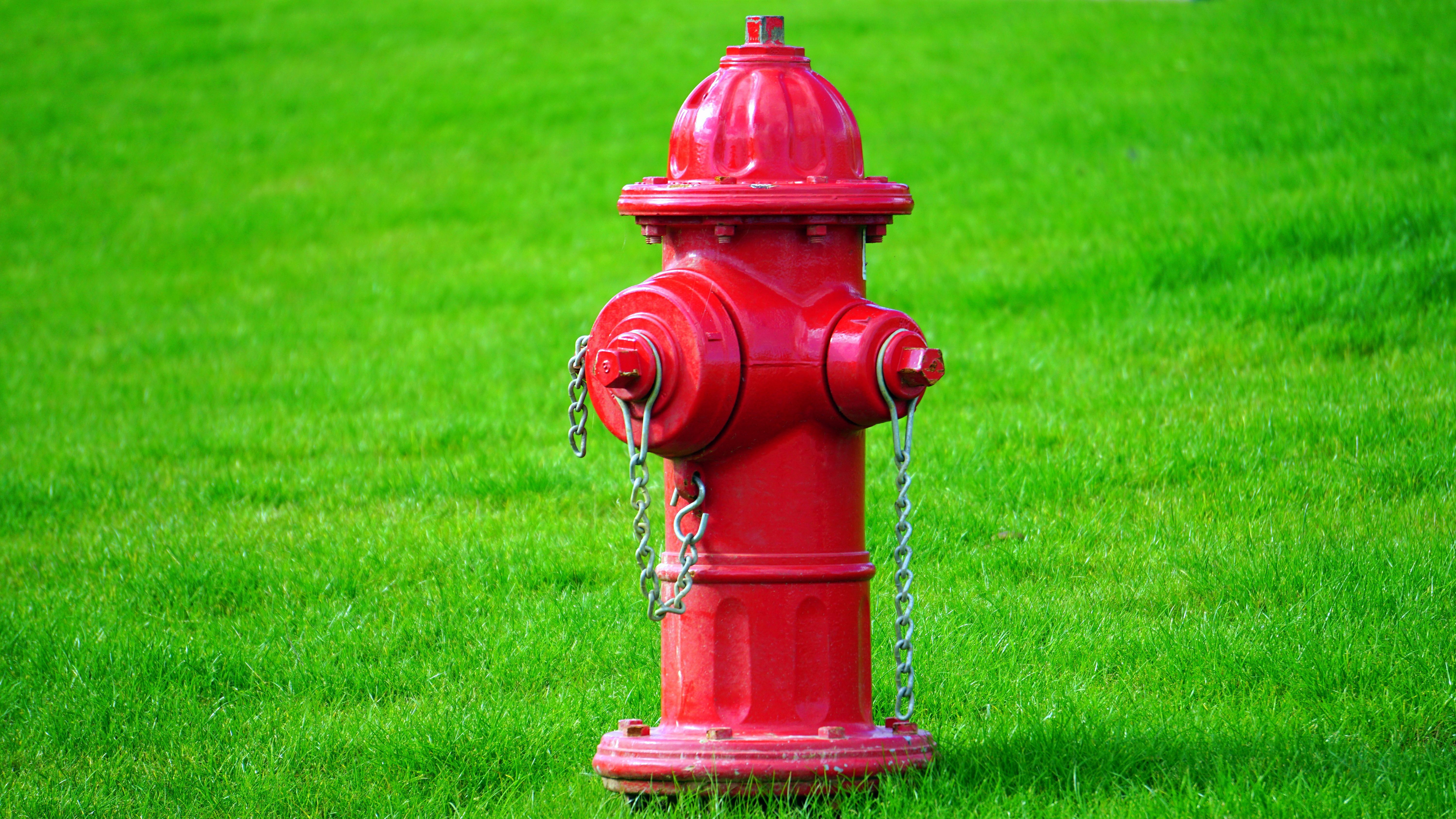 6000x3376 Red Fire Hydrant on Green Grass Field · Free