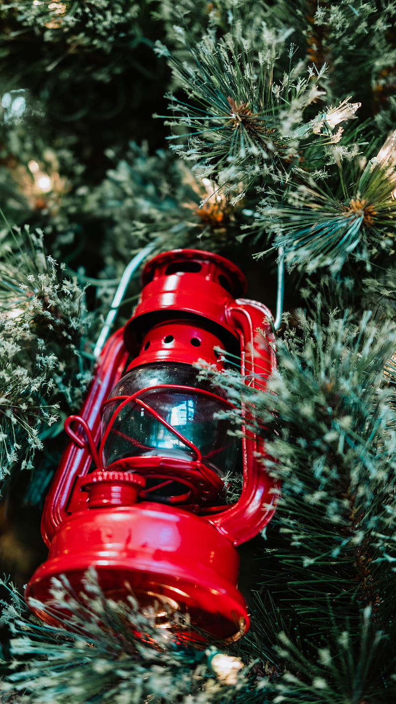 800x1421 HD red hydrant wallpaper