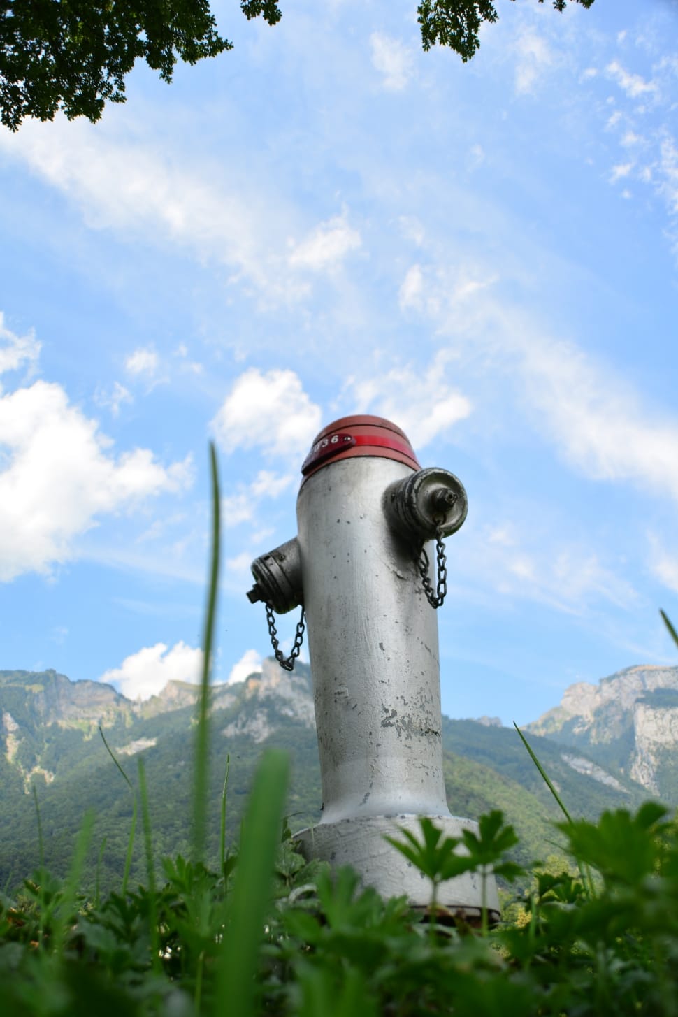 970x1455 grey and red fire hydrant free image