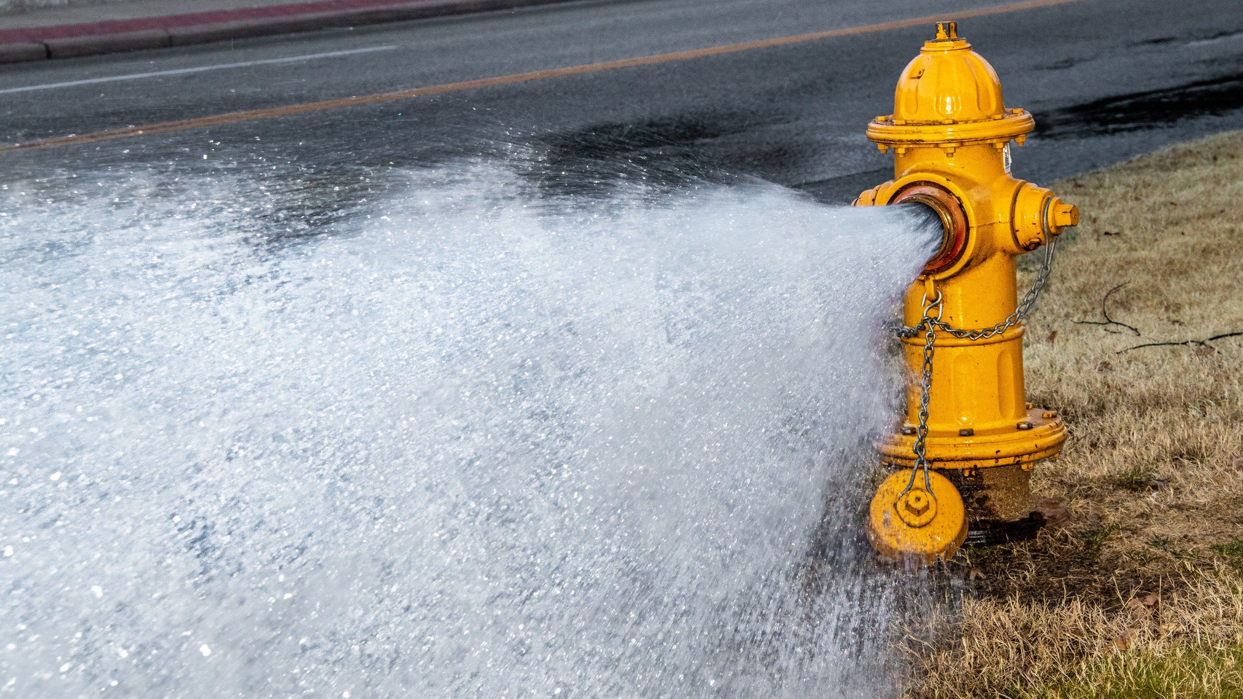 2560x1440 What a fire hydrant's color can tell you