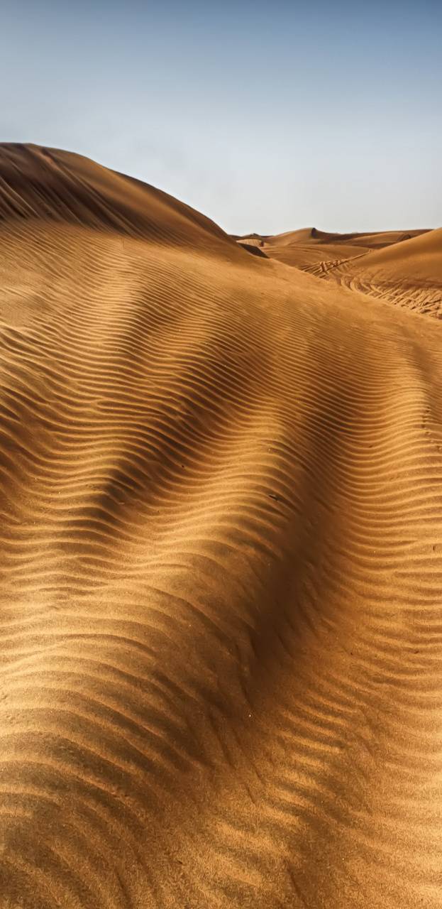 623x1280 Dubai Desert wallpaper