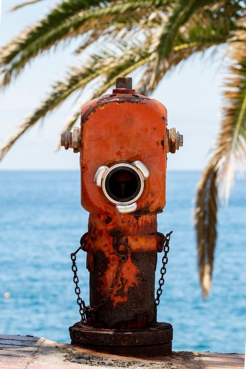 493x740 Happy hydrant Image