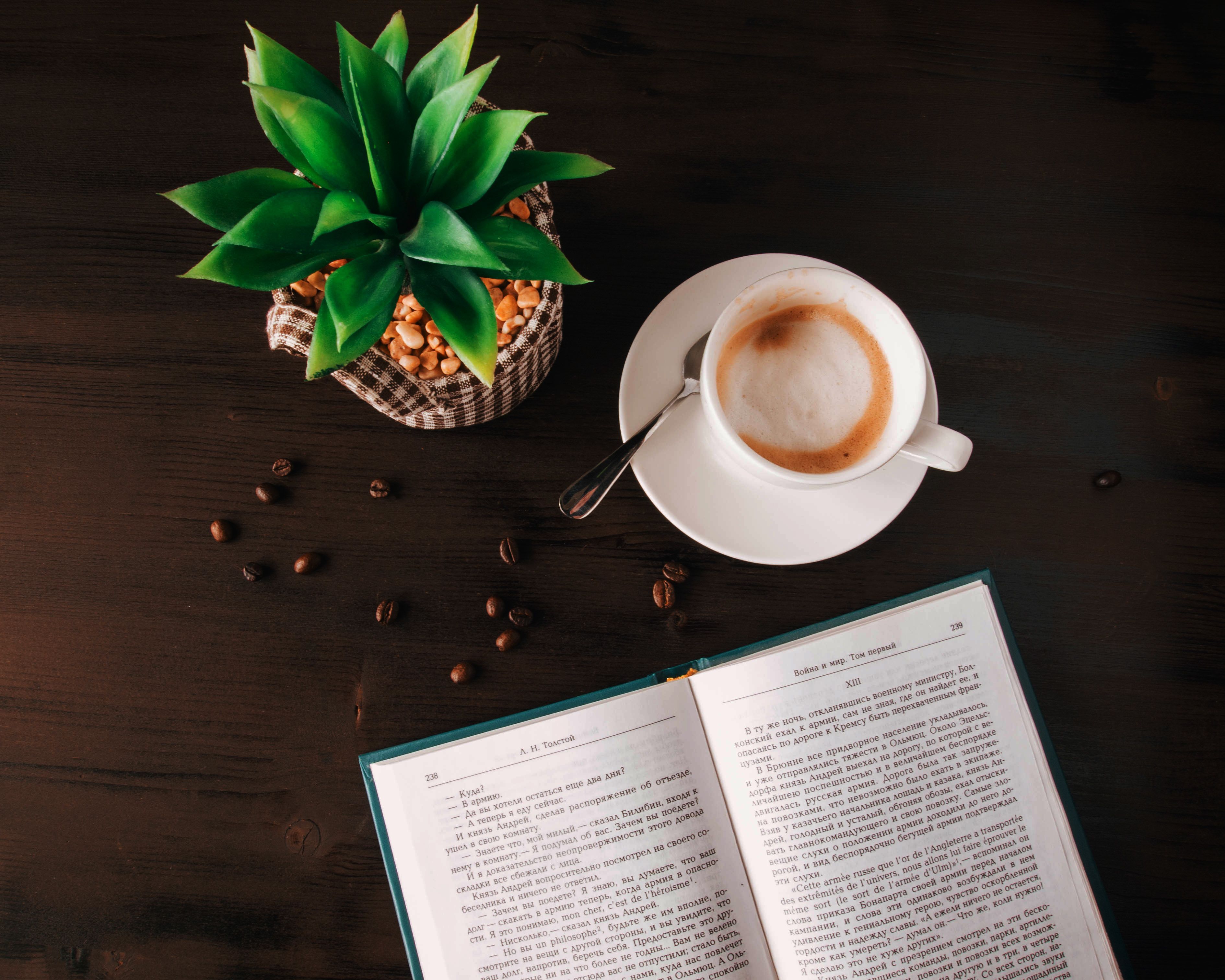 3780x3024 White Ceramic Mug on Saucer Near Book · Free