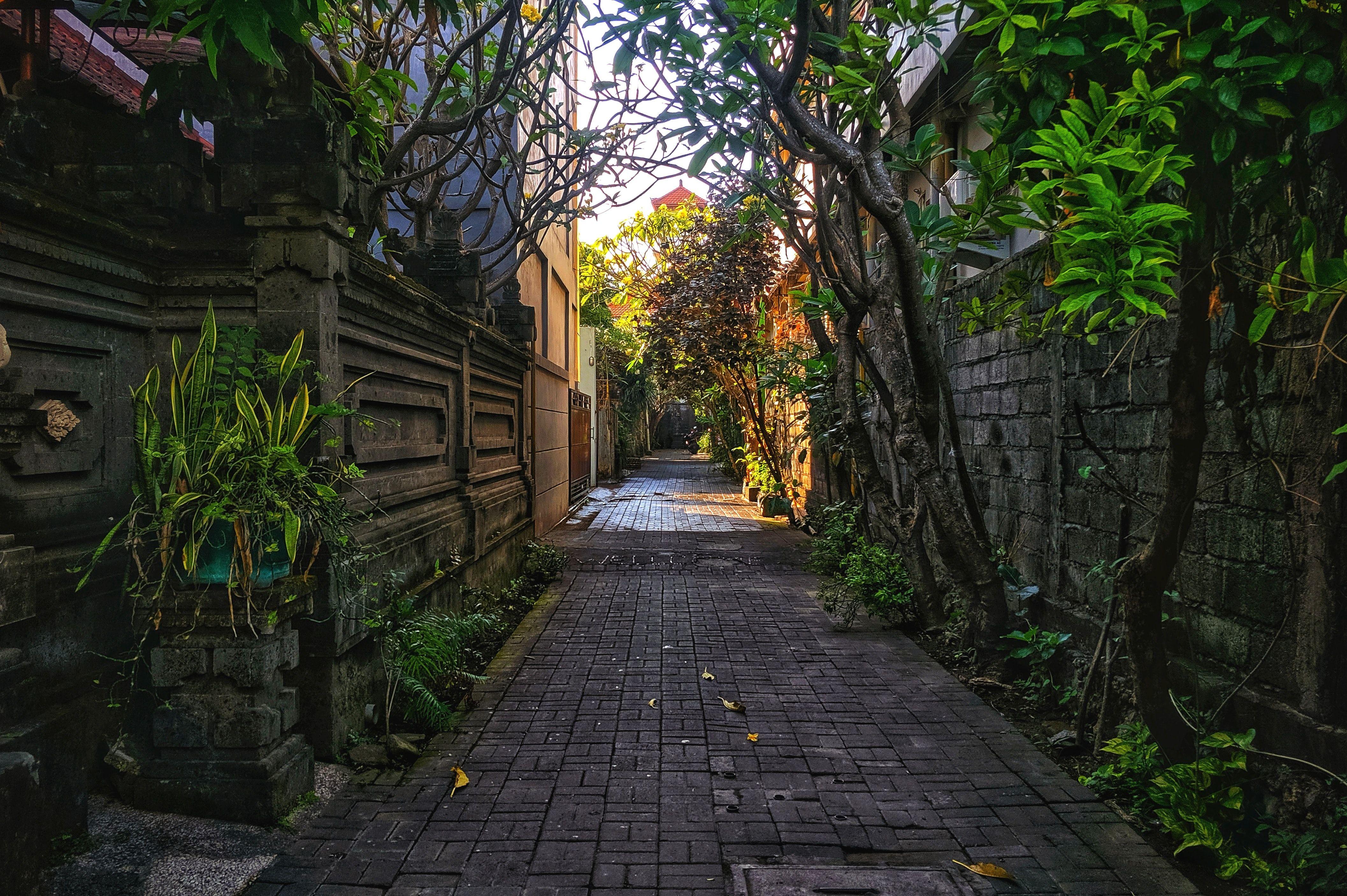 4228x2814 Empty Street Picture. Download Free Image