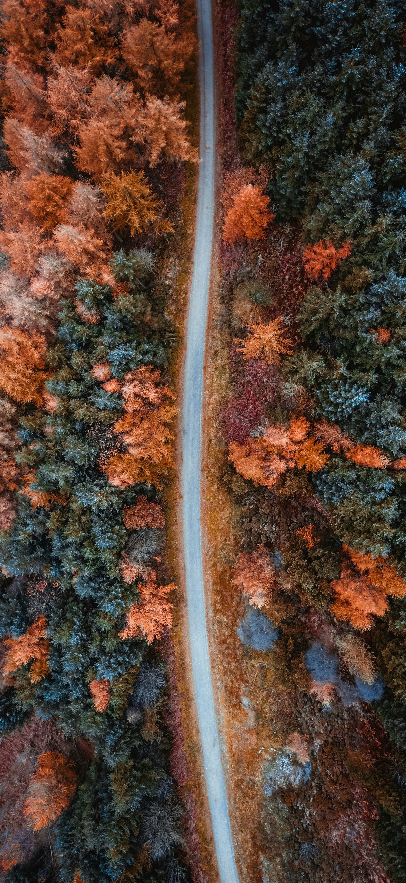 1320x2868 Exact resolution wallpaper for iPhone 16 Pro Max
