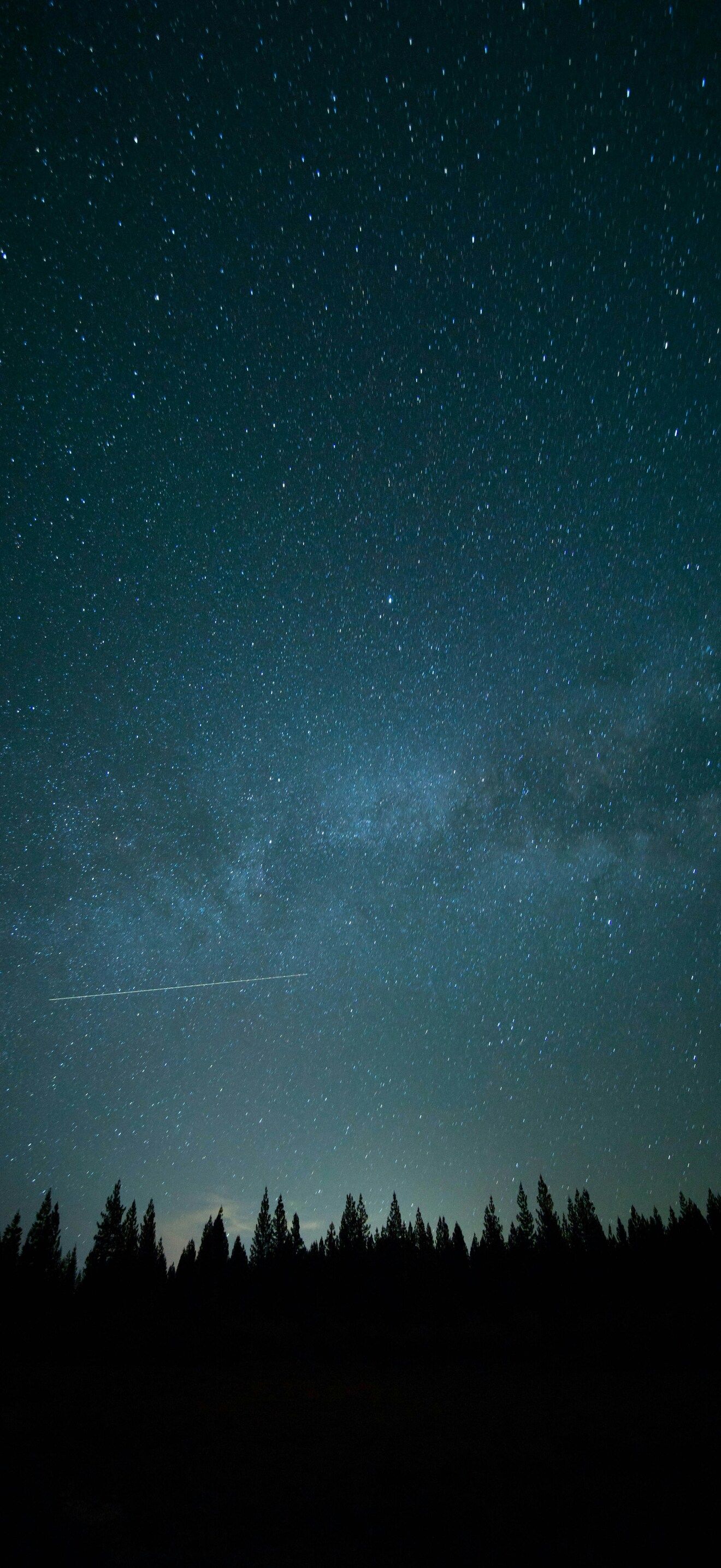 1320x2868 Exact resolution wallpaper for iPhone 16 Pro Max