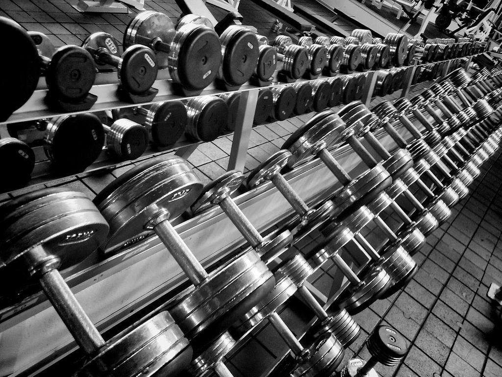 1024x768 Gym Wallpaper HD