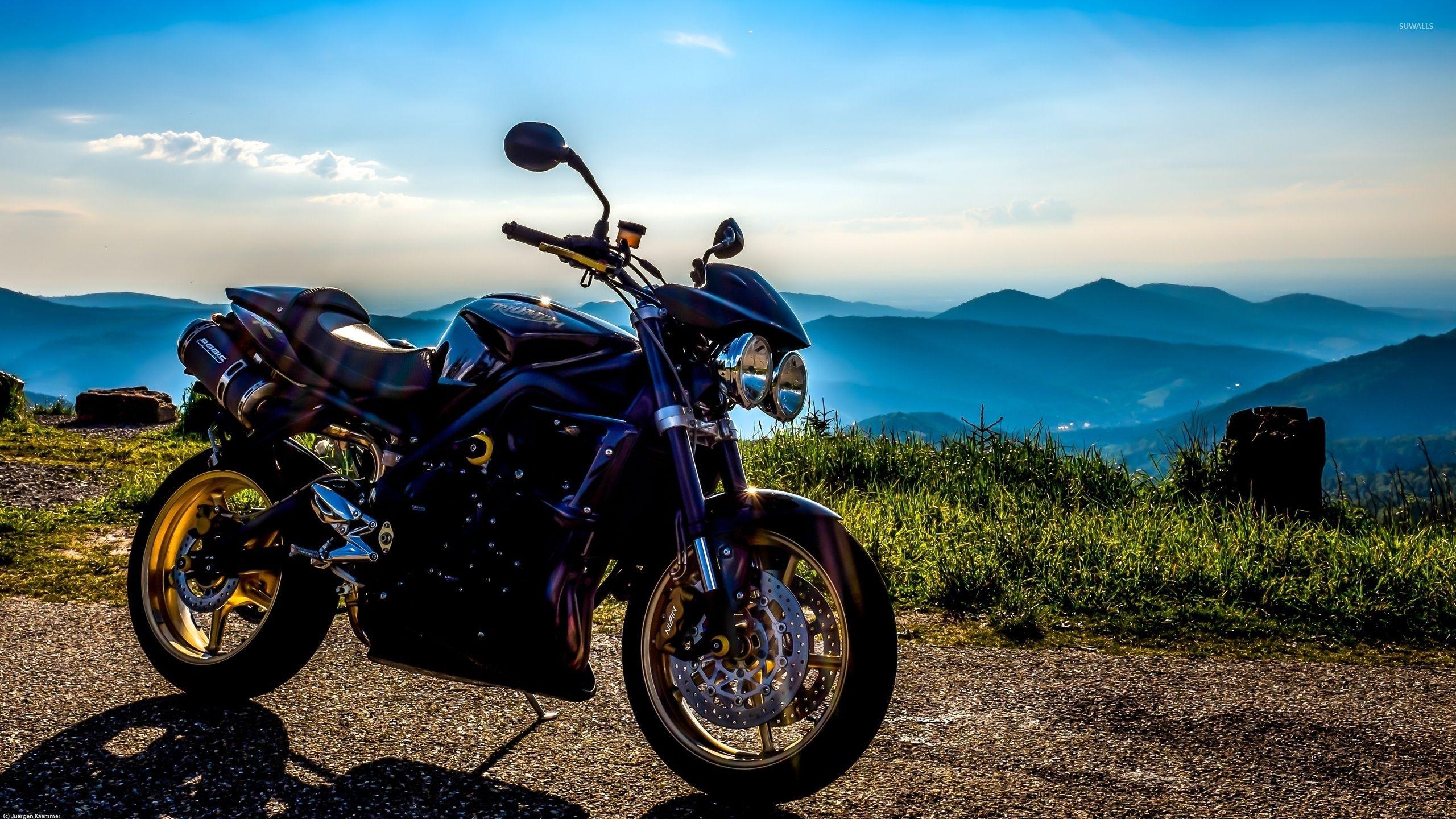 2560x1440 Hình nền Triumph - Hình nền xe máy