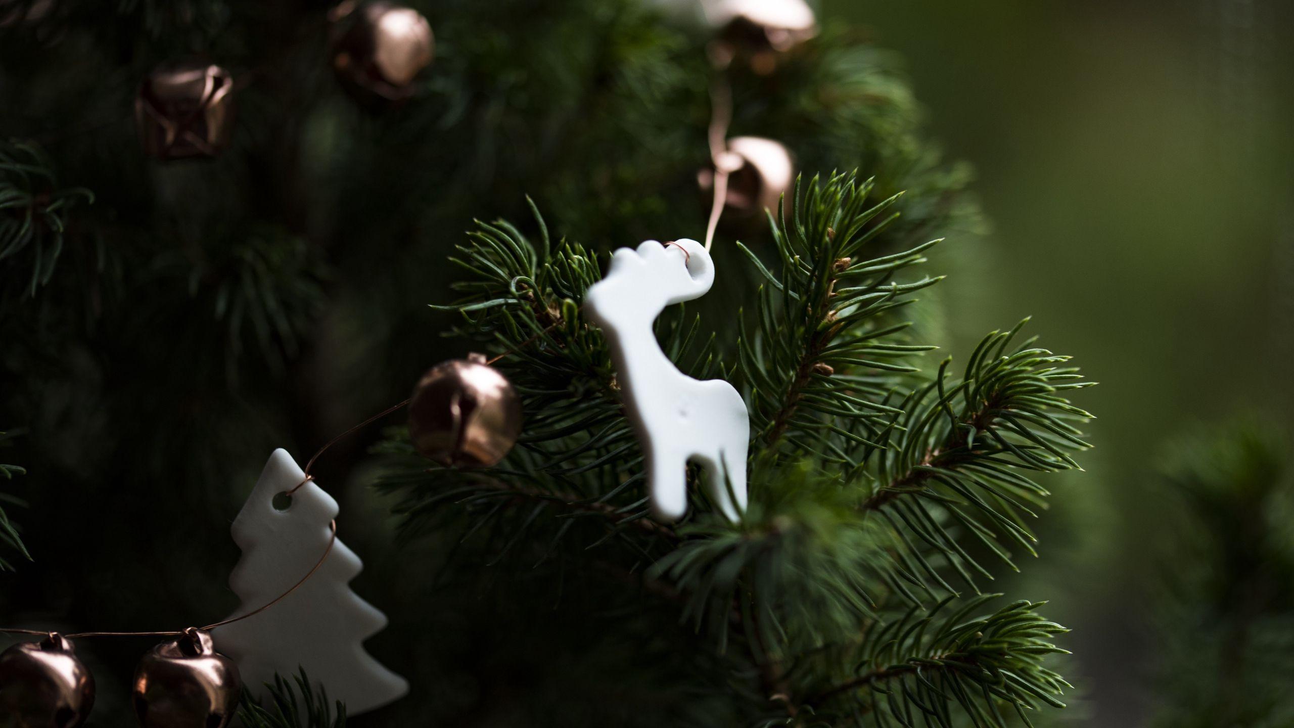 2560x1440 Download wallpaper 2560x1440 christmas, new year, christmas tree