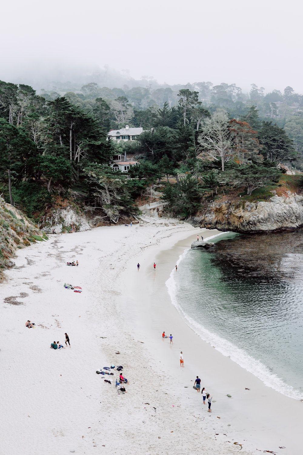 1000x1500 group of people standing beside the seashore photo