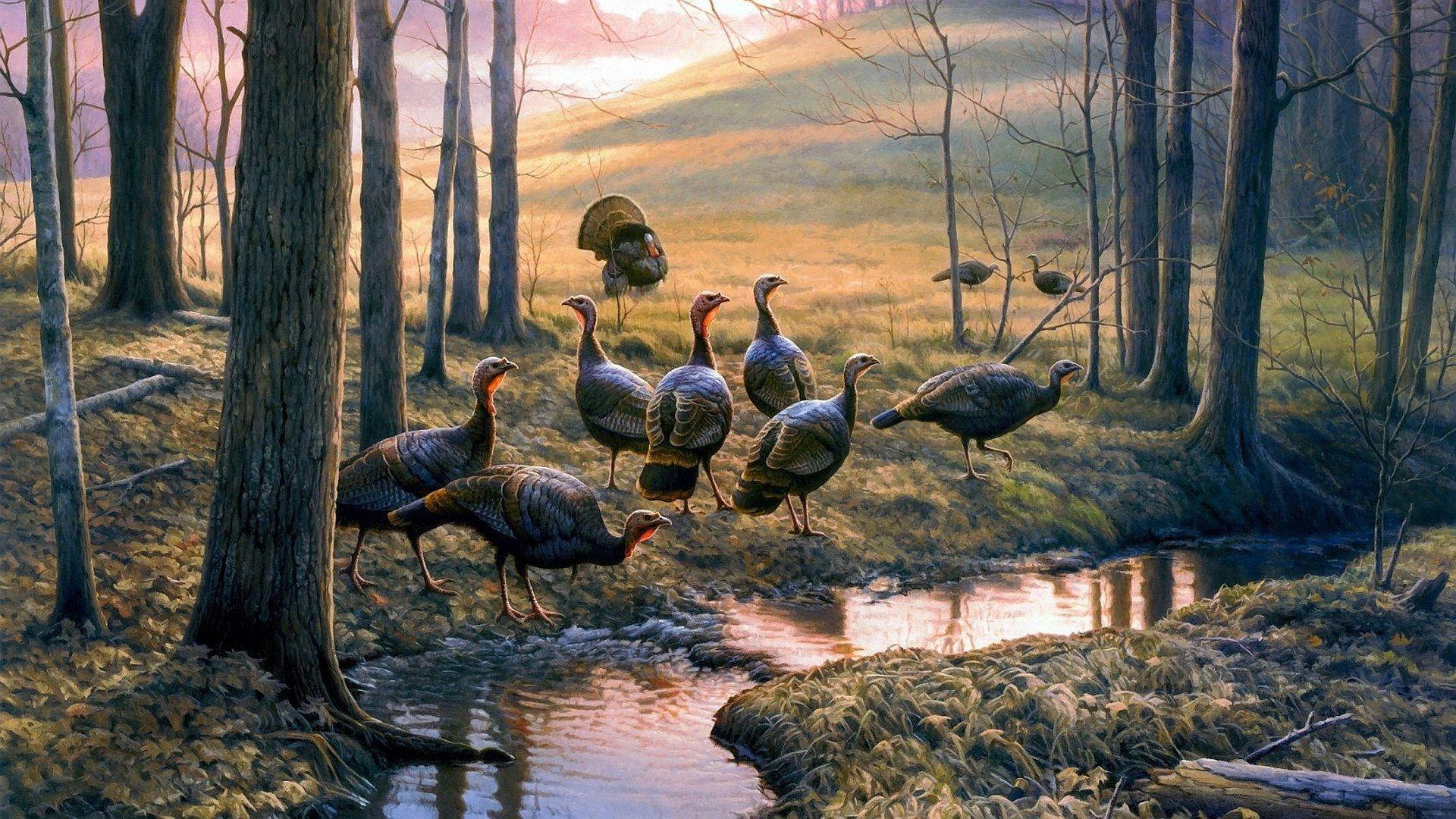 1920x1080 High Definition Collection: Turkey Wallpaper, 46 Full HD Turkey