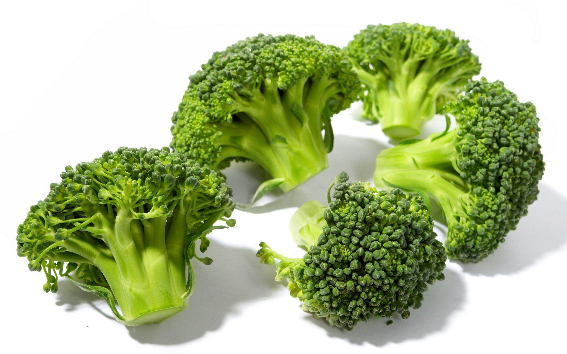 1920x1200 Broccoli HD Wallpaper and Background Image
