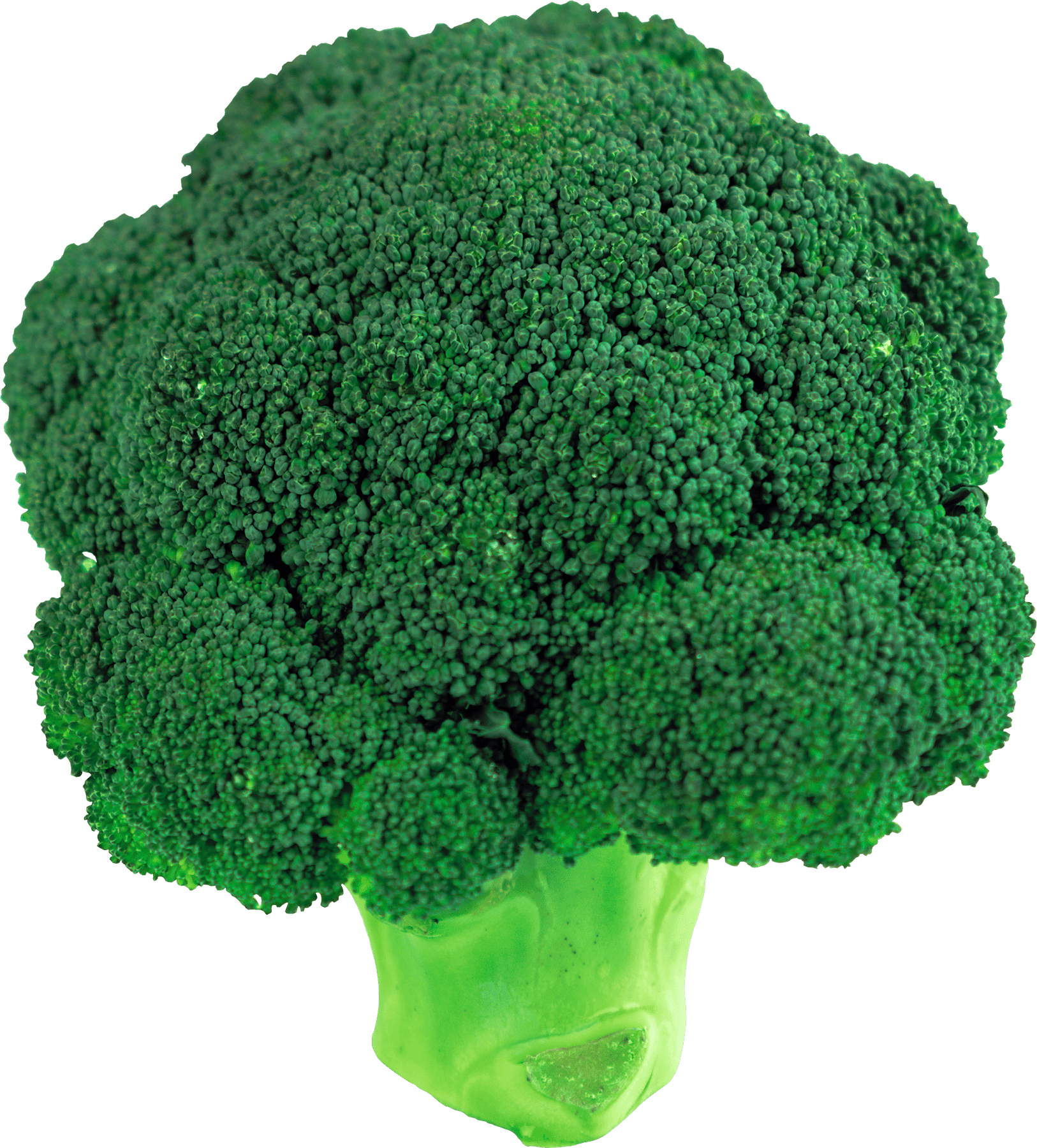 1626x1800 Broccoli Clipart Transparent Background, HD Wallpaper