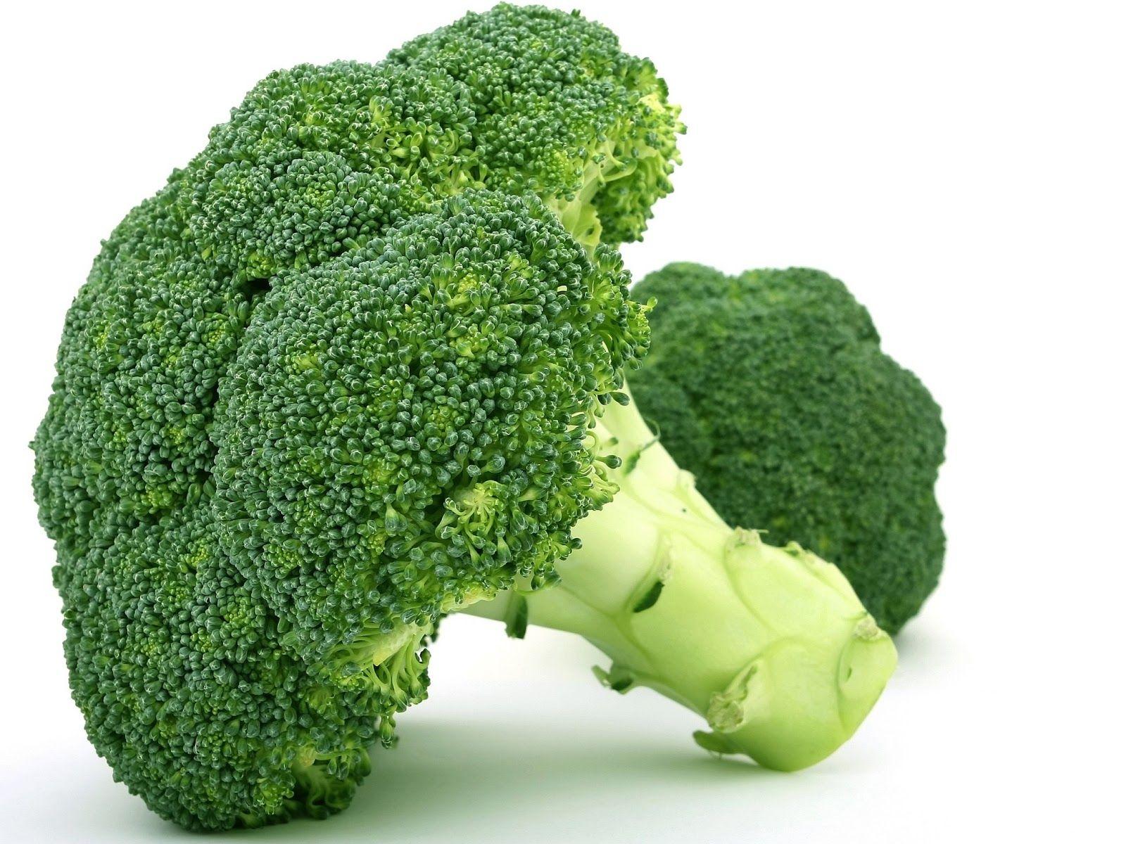 1600x1200 Broccoli, HD background, 395.6 Kbytes, mood