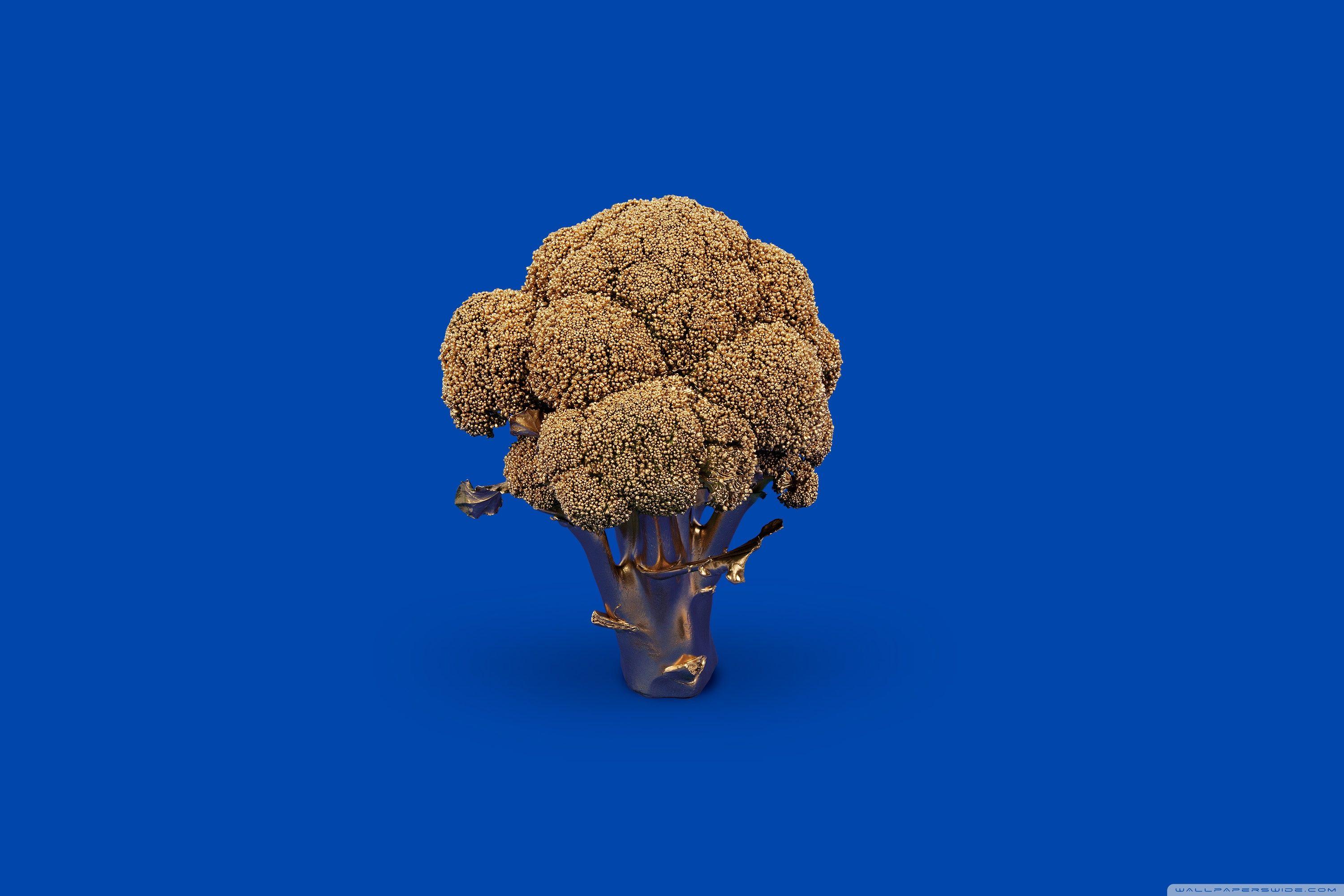 Broccoli Wallpapers - Top Free Broccoli Backgrounds - WallpaperAccess