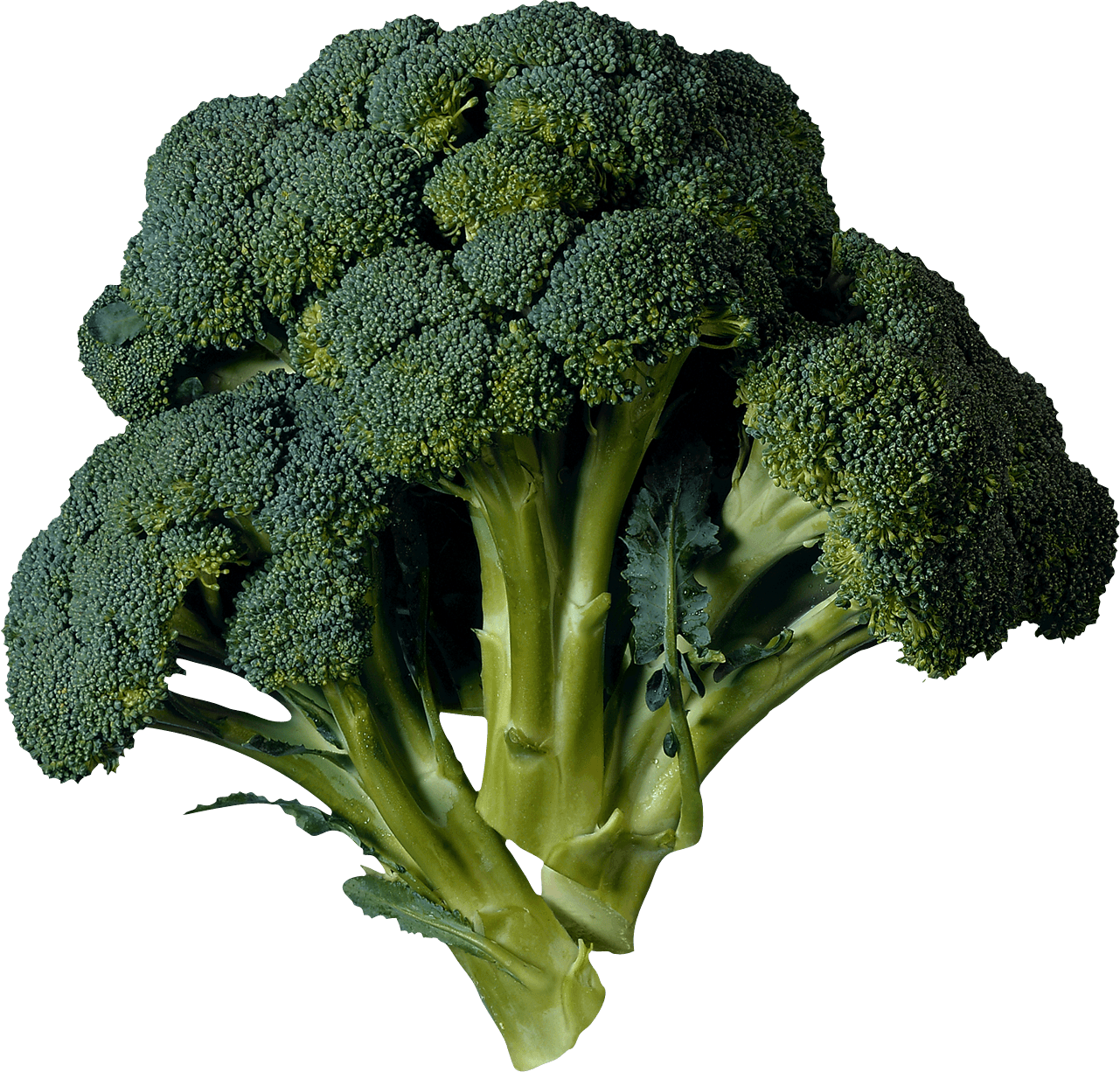 1281x1226 Broccoli PNG Image, Free Download Broccoli Clipart