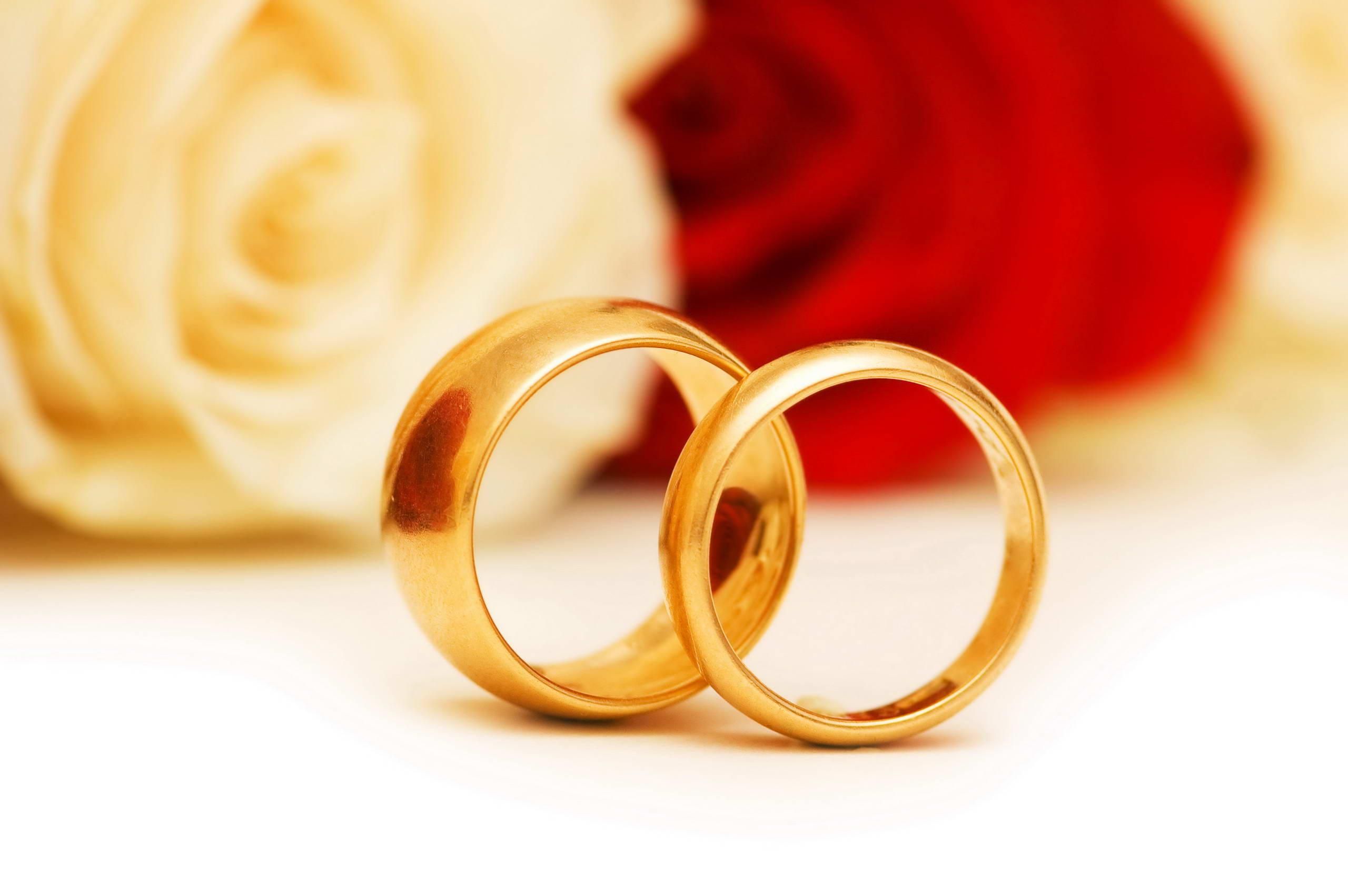 2560x1702 Beautiful Wedding Rings Wallpaper High Resolution Wallpaper