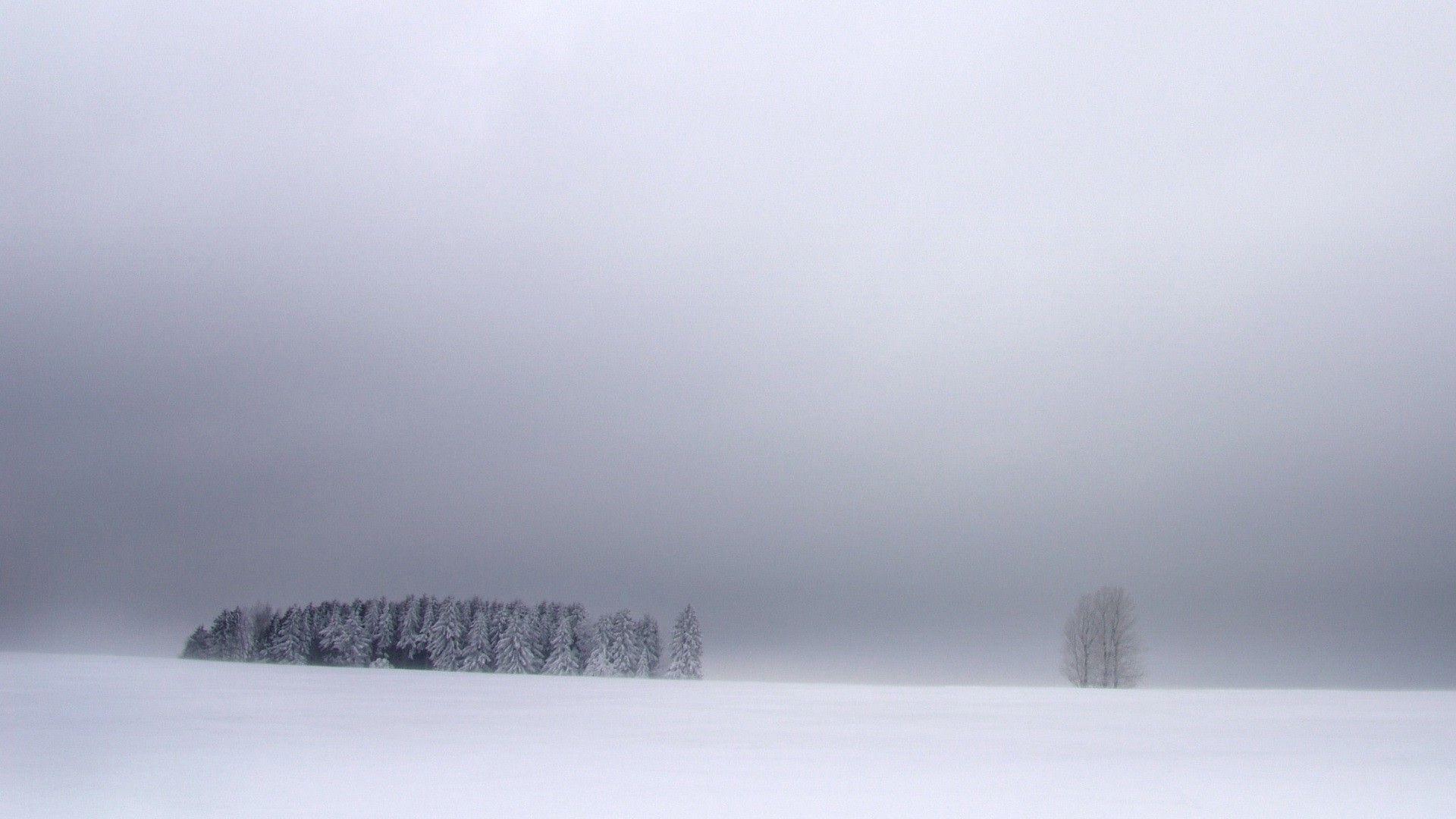 1920x1080 white, Winter, Nature, Blue, Sky Wallpaper HD / Desktop