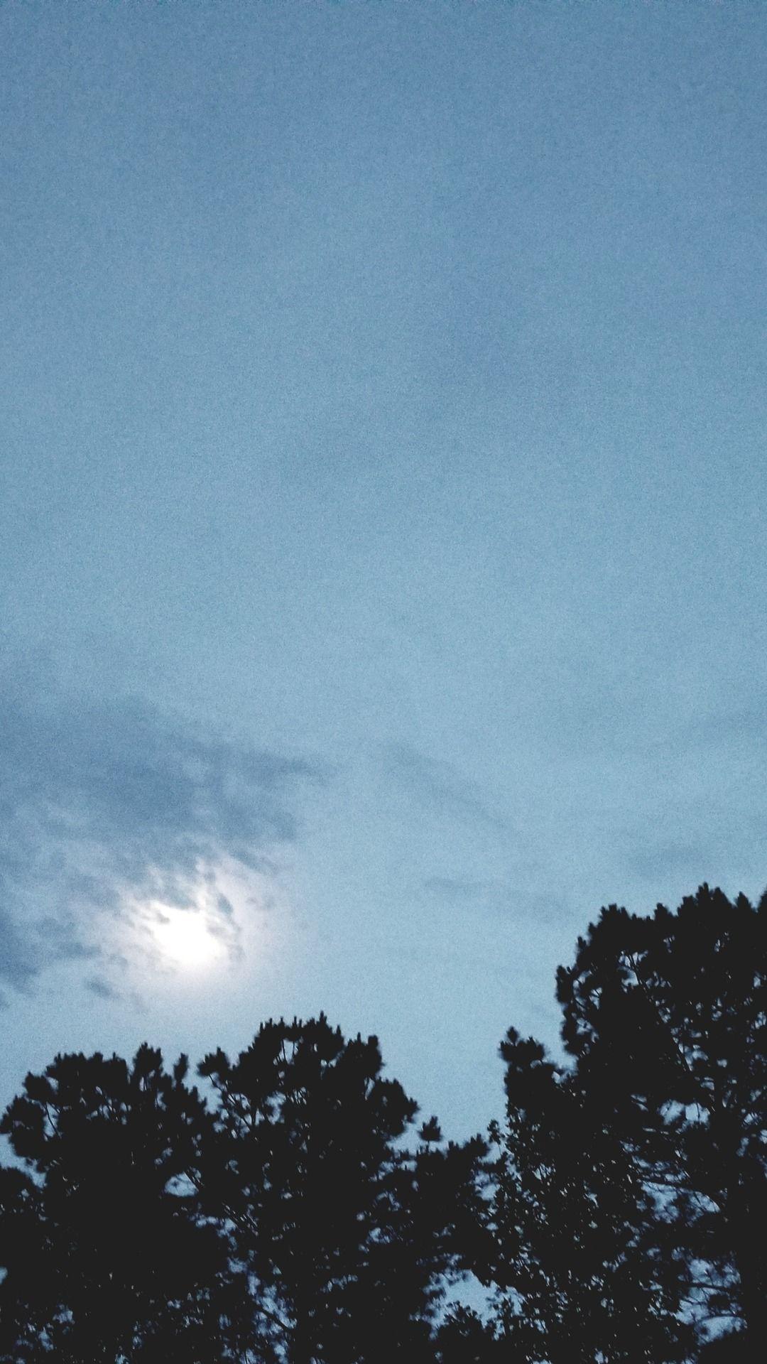 1080x1920 blue night sky cloud clouds cloudy moon white black dark trees