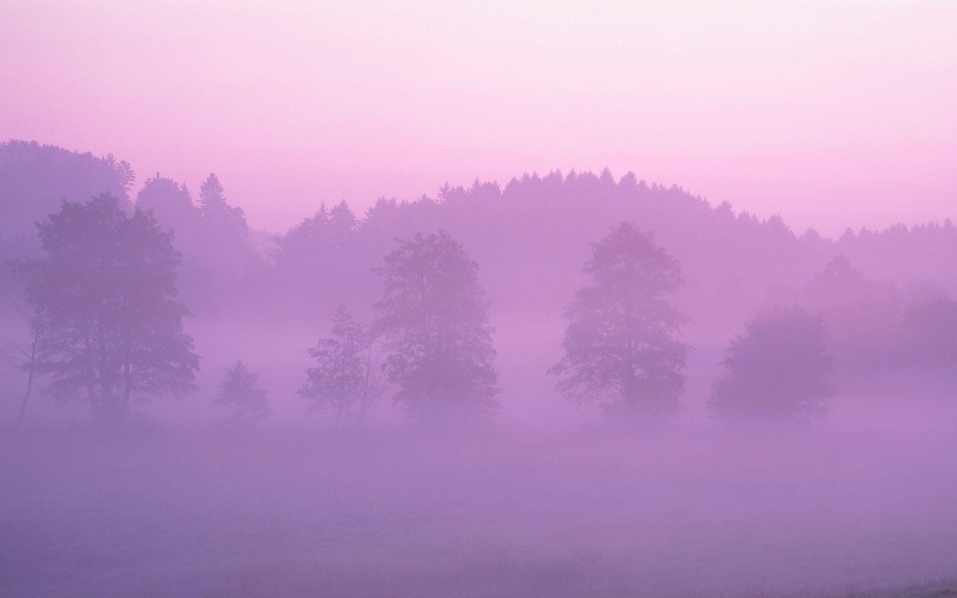 1920x1200 Mac OS X Pink Forest. Pink forest, Forest wallpaper, Wall wallpaper