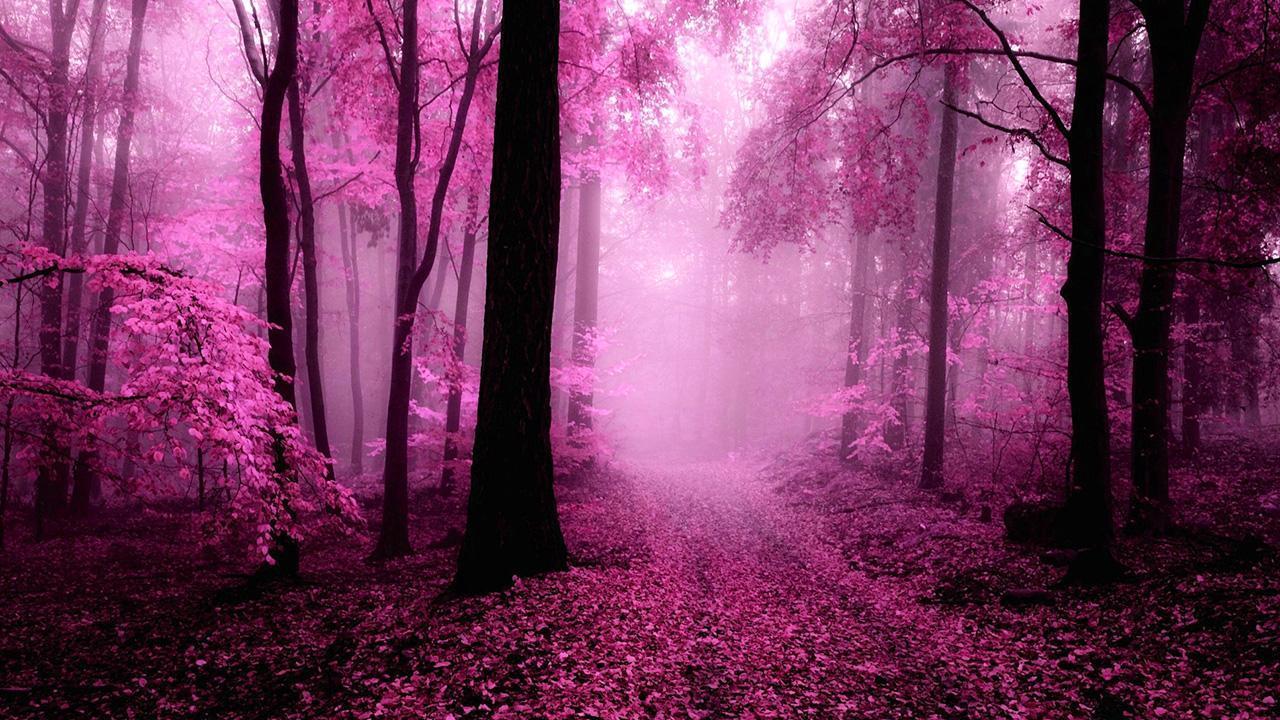 1280x720 Pink Forest Live Wallpaper for Android