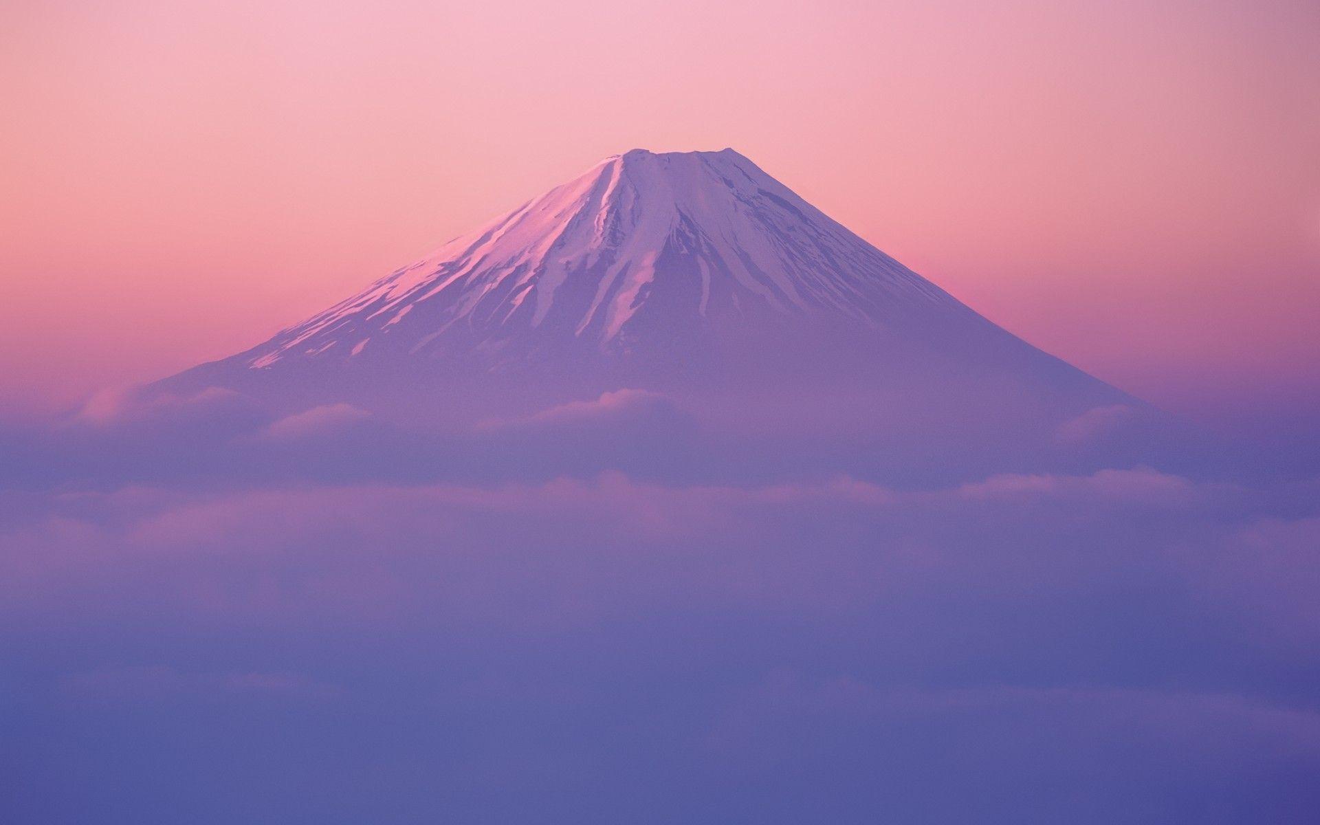 1920x1200 Mac OS X Pink Forest wallpaper. Mac OS X Pink Forest