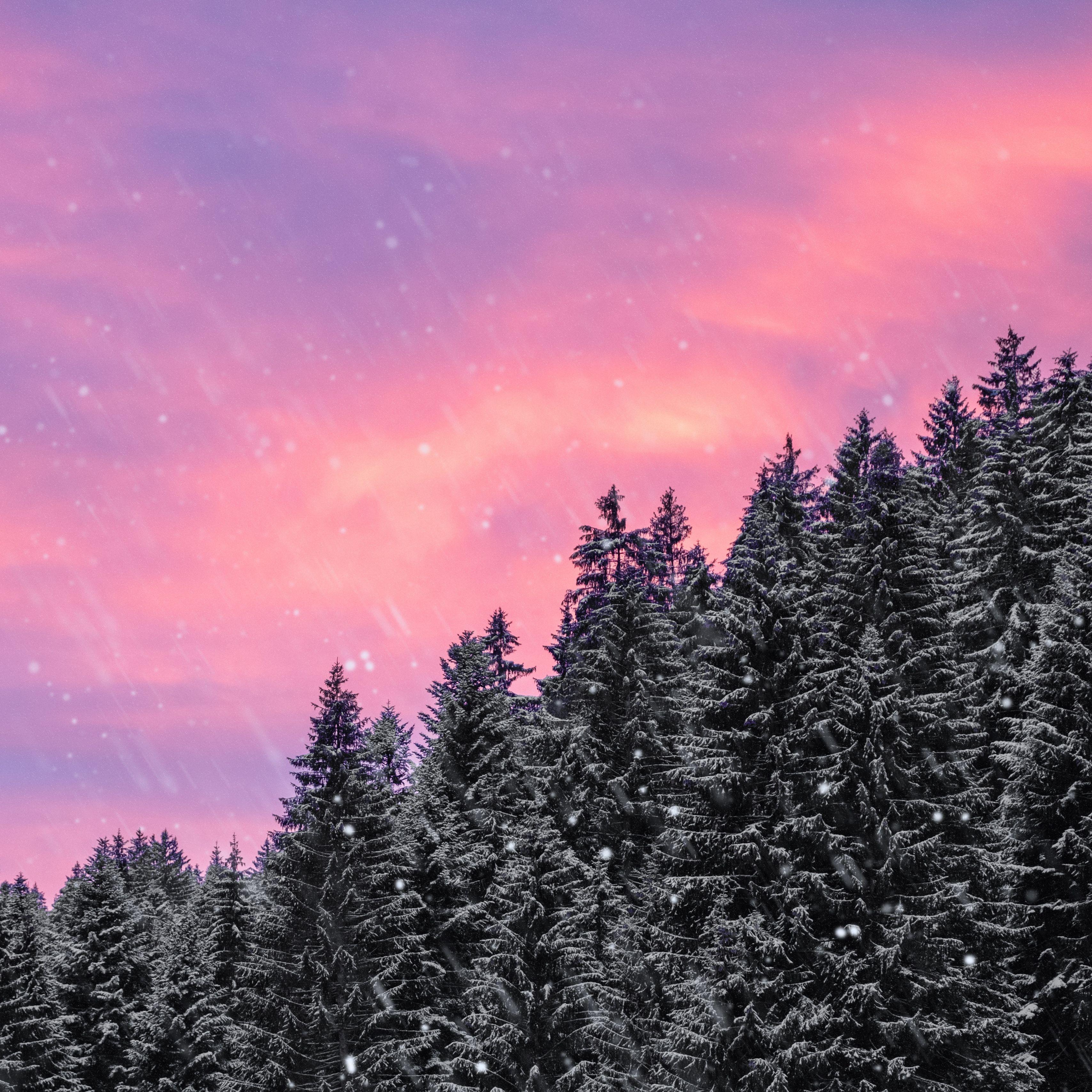 3415x3415 Download wallpaper 3415x3415 spruce, snow, snowfall, sky, winter