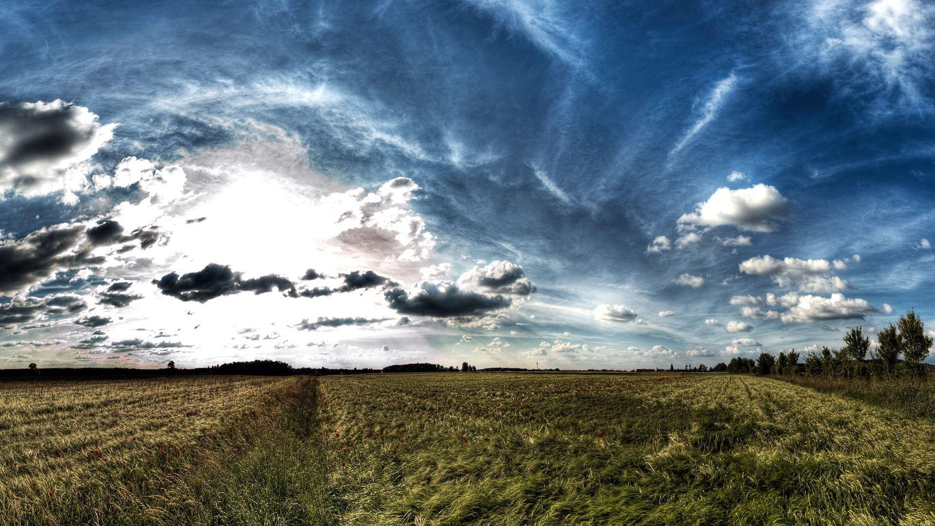 1920x1080 Download Wallpaper 1920x1080 landscape, field, open space, sky