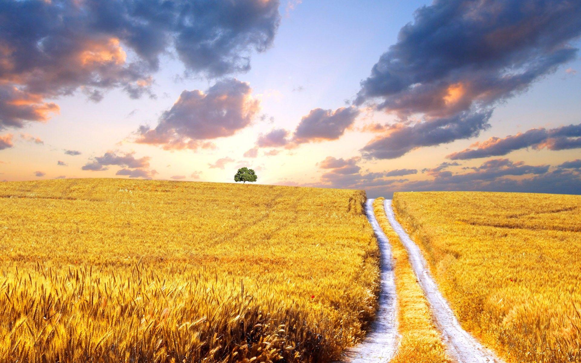1920x1200 Wide Open Spaces
