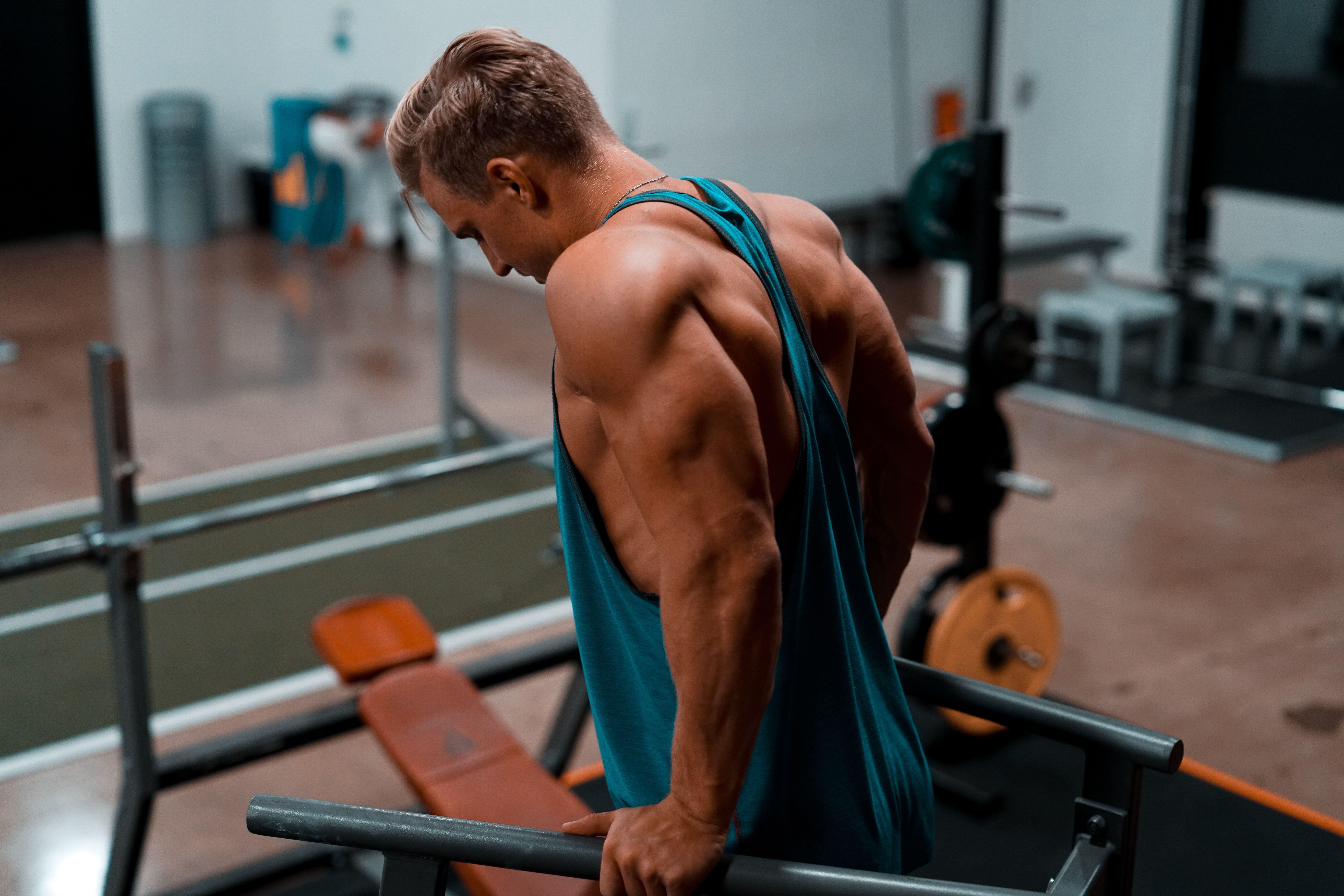 7952x5304 Triceps Picture. Download Free Image
