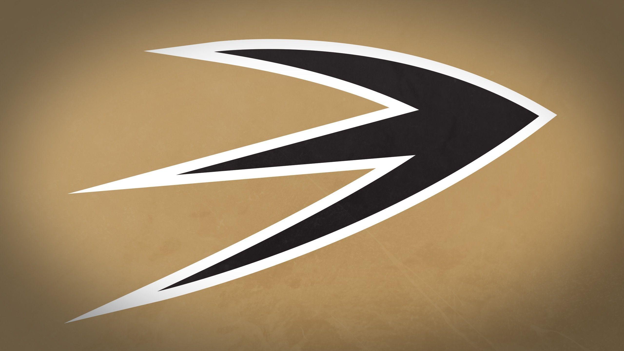 2560x1440 Free download Anaheim Ducks Computer Wallpaper Desktop
