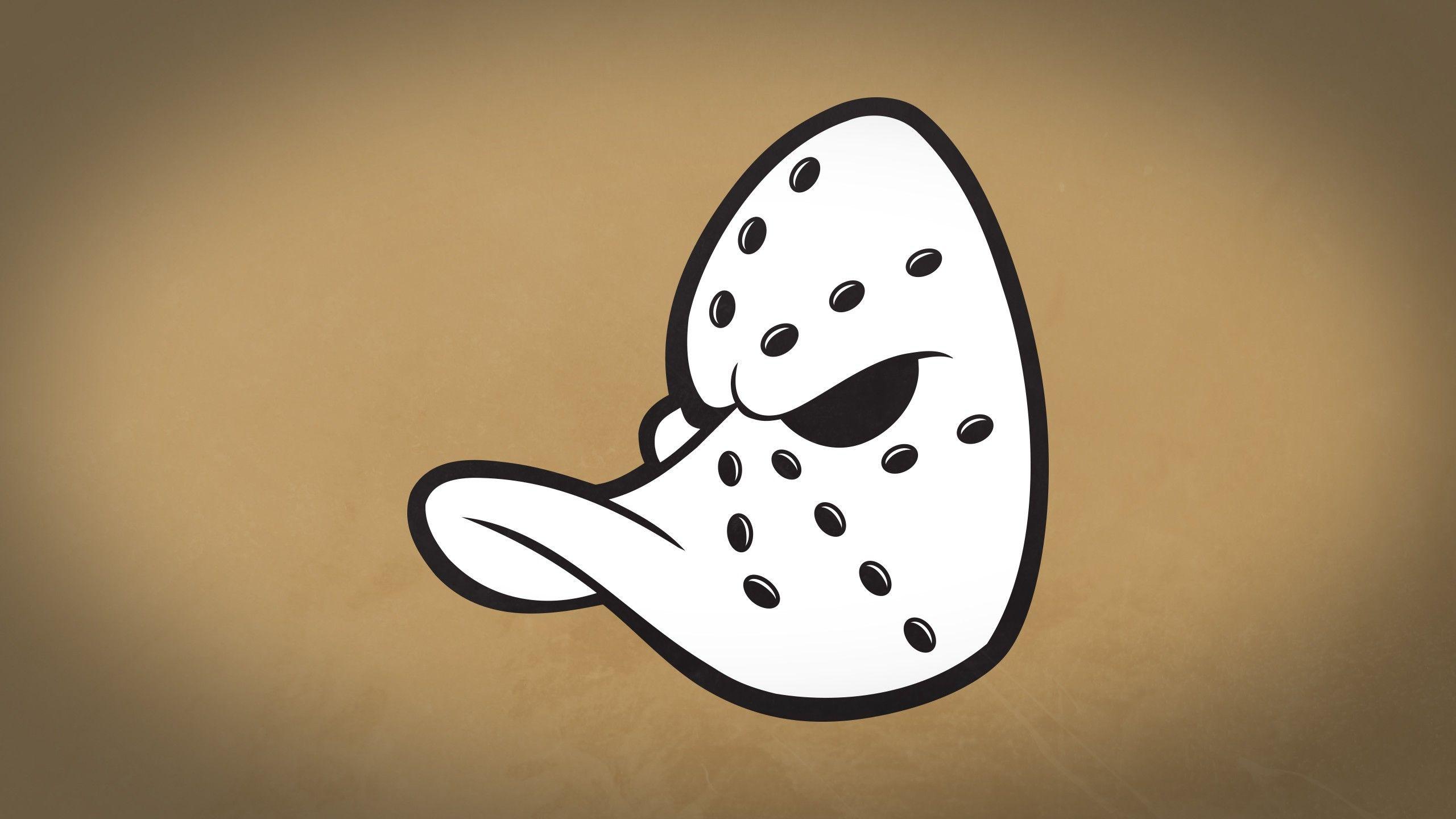2560x1440 Anaheim Ducks HD Wallpaper and Background Image