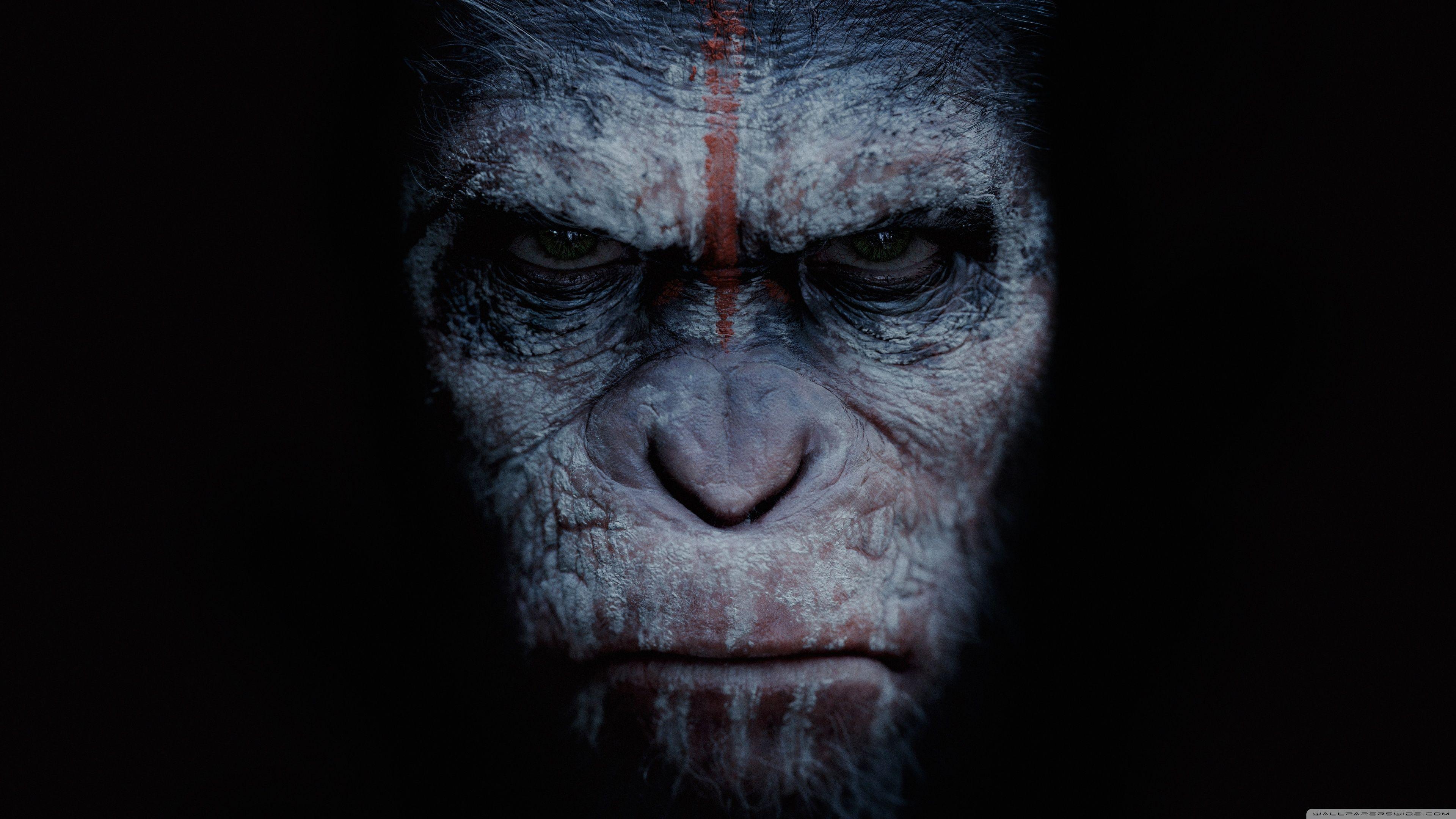 3840x2160 Dawn of the Planet of the Apes wallpaperx2160